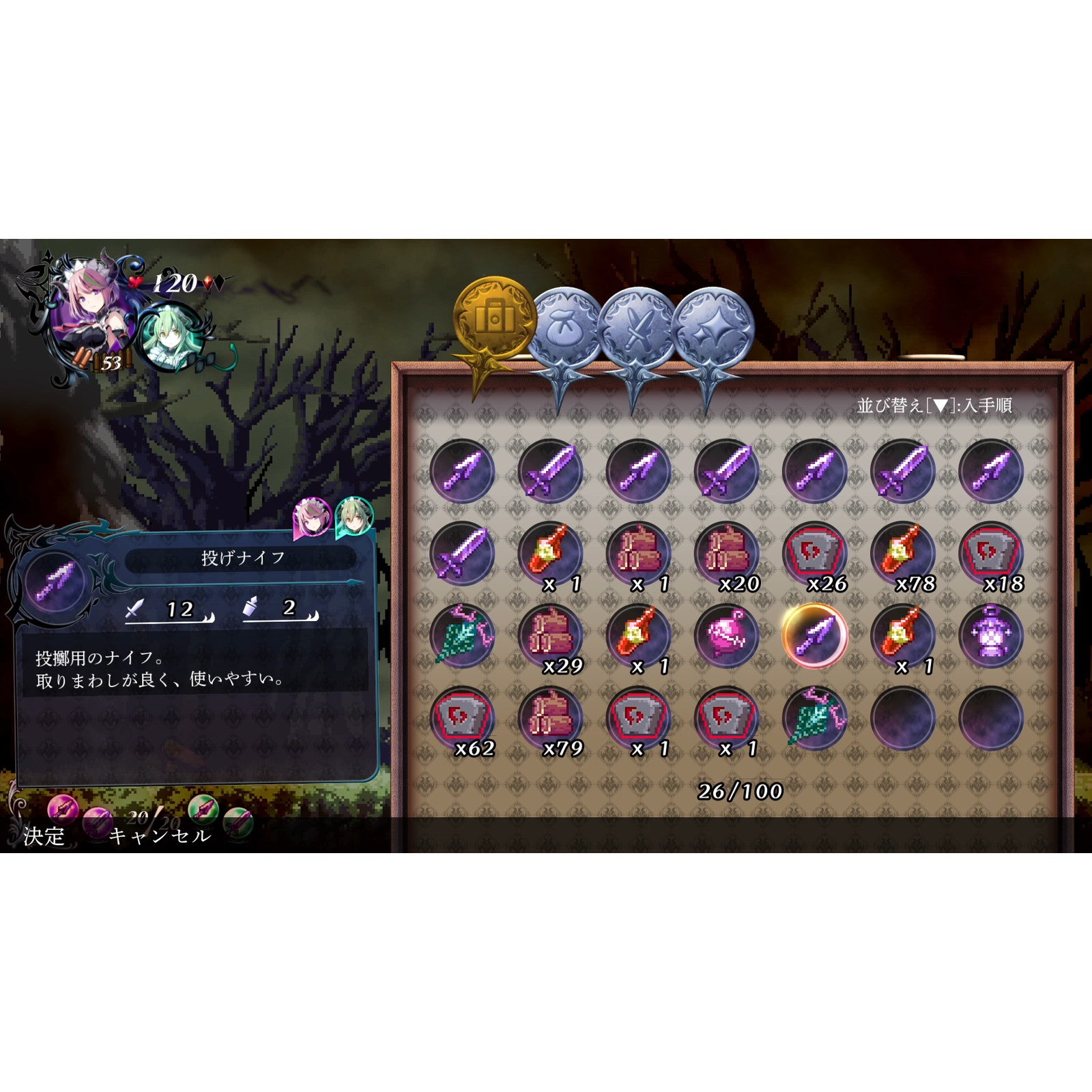 【中古即納】[Switch] グリム・ガーディアンズ サーヴァント・オブ・ザ・ダーク 通常版 インティ・クリエイツ(20250424)