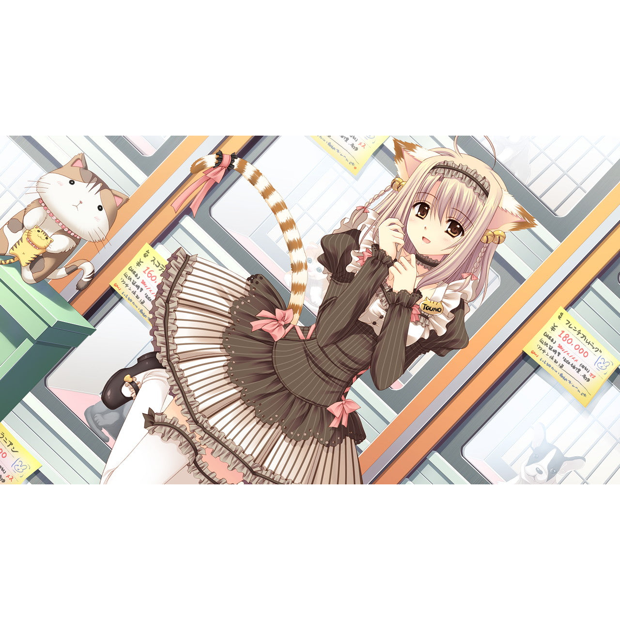 【新品即納】[Switch] 世界征服彼女 通常版 エンターグラム(20250522)
