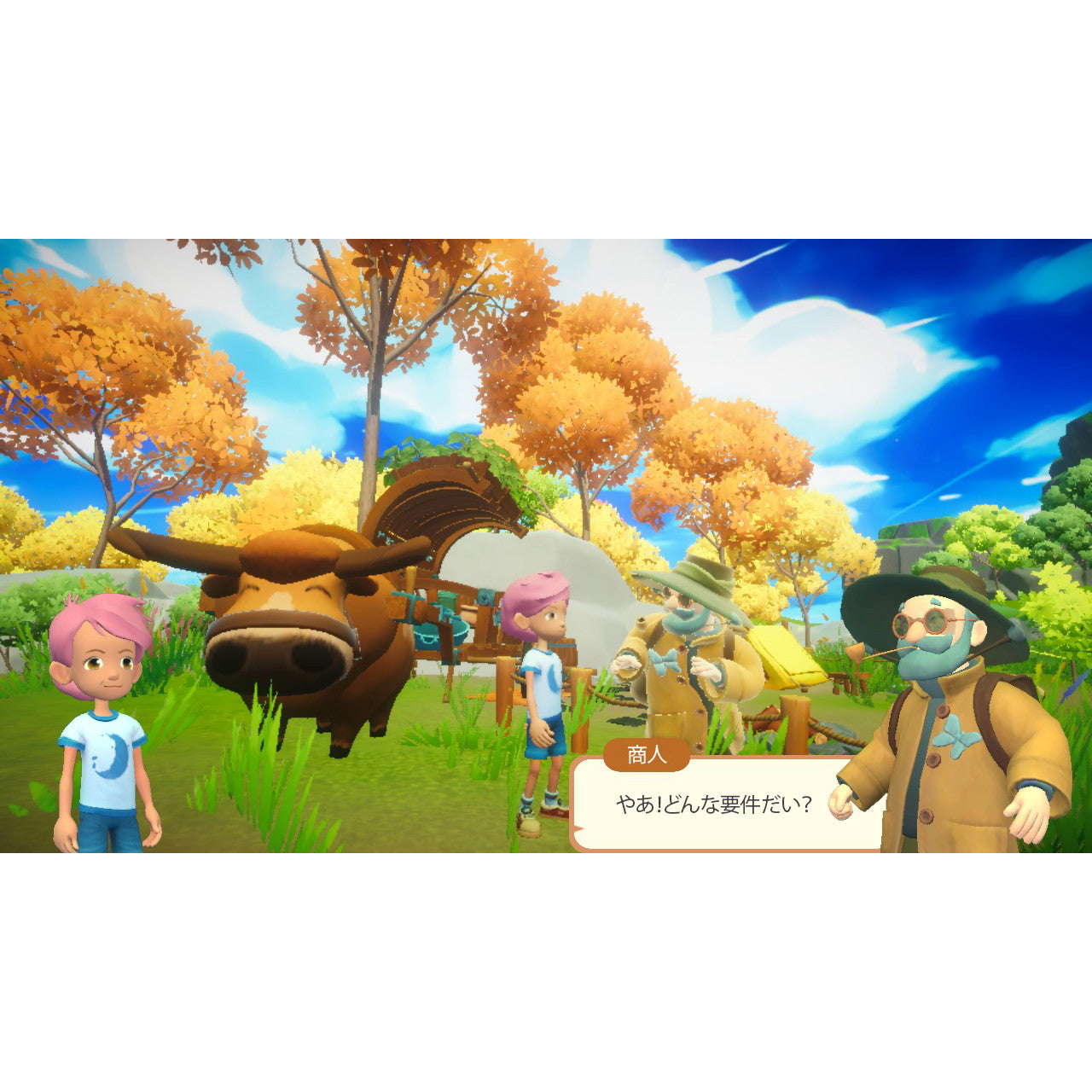 【新品即納】[Switch] Everdream Valley(エバードリーム バレー) SOFT SOURCE(20250515)
