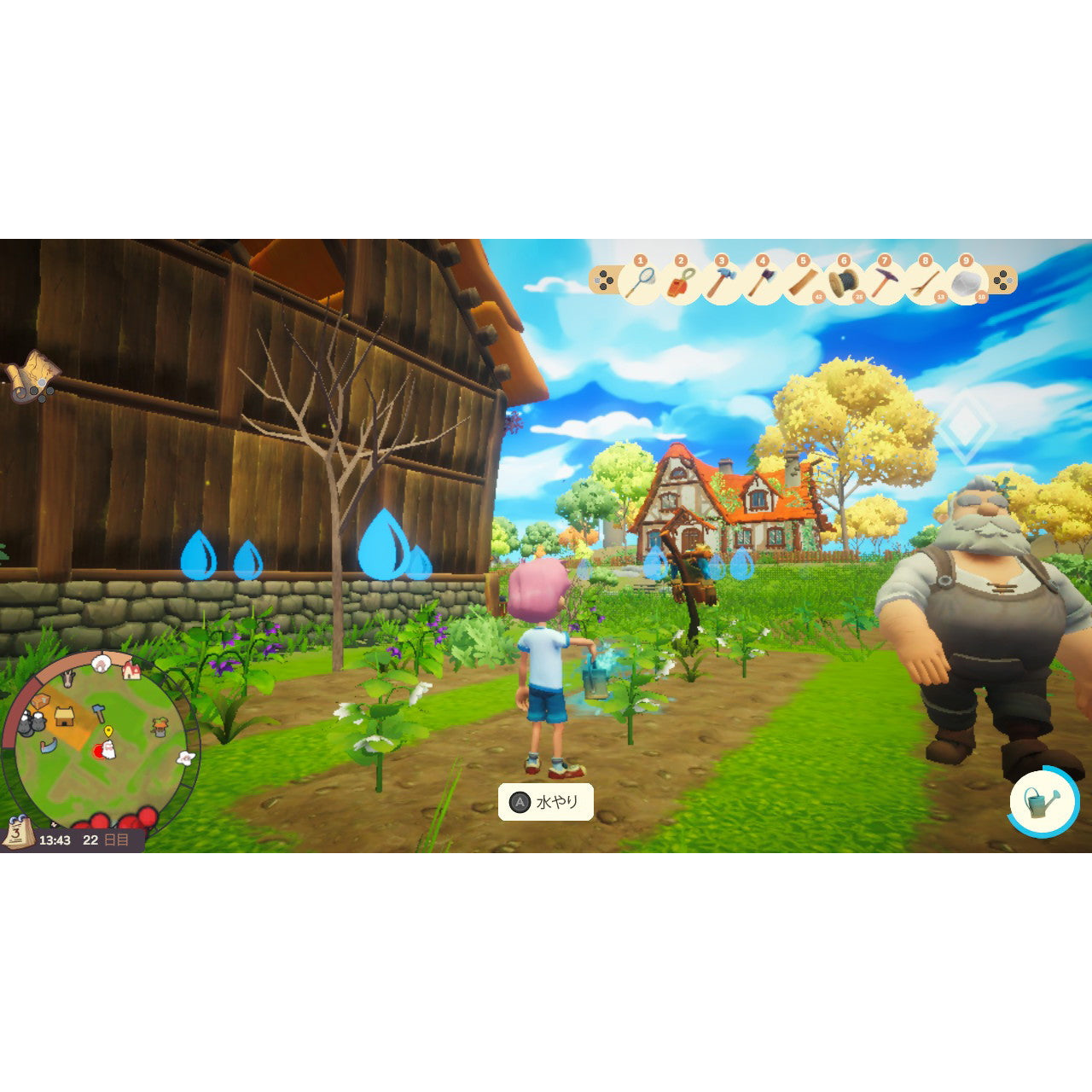 【新品即納】[Switch] Everdream Valley(エバードリーム バレー) SOFT SOURCE(20250515)