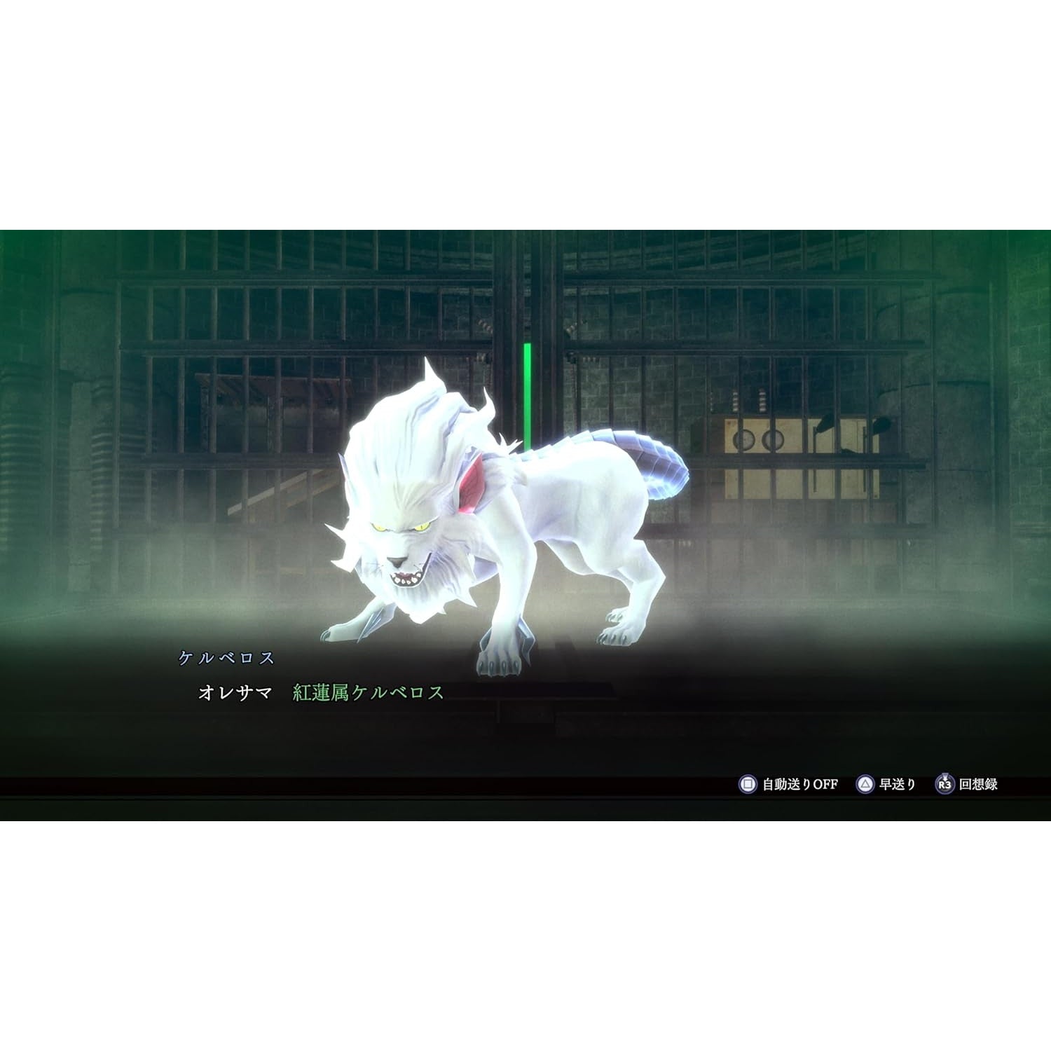 【中古即納】[Switch] RAIDOU Remastered: 超力兵団奇譚(ライドウ リマスタード ちょうりきへいだんきたん) アトラス(20250619)