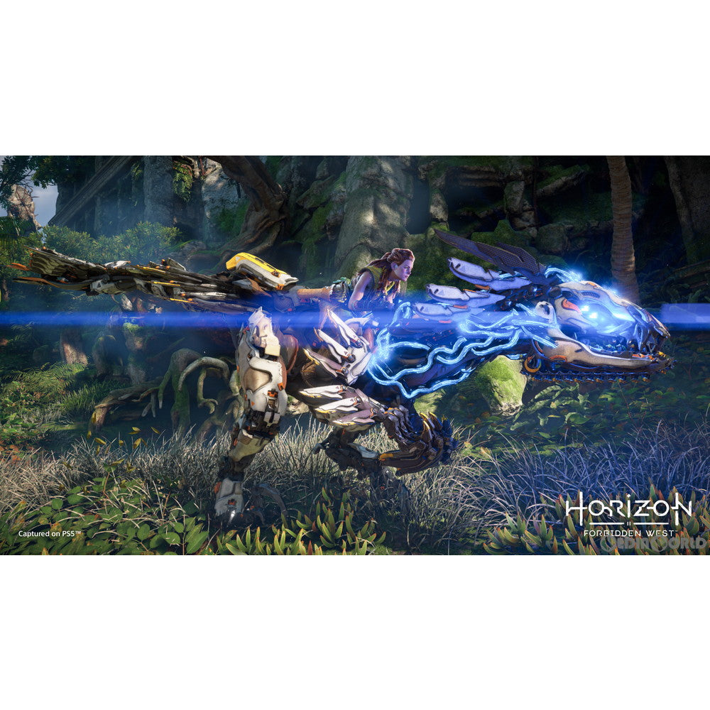 【中古即納】[お得品][表紙説明書なし][PS5] Horizon Forbidden West(ホライゾン フォービドゥン ウエスト) コレクターズエディション(限定版) SIE(20220218)