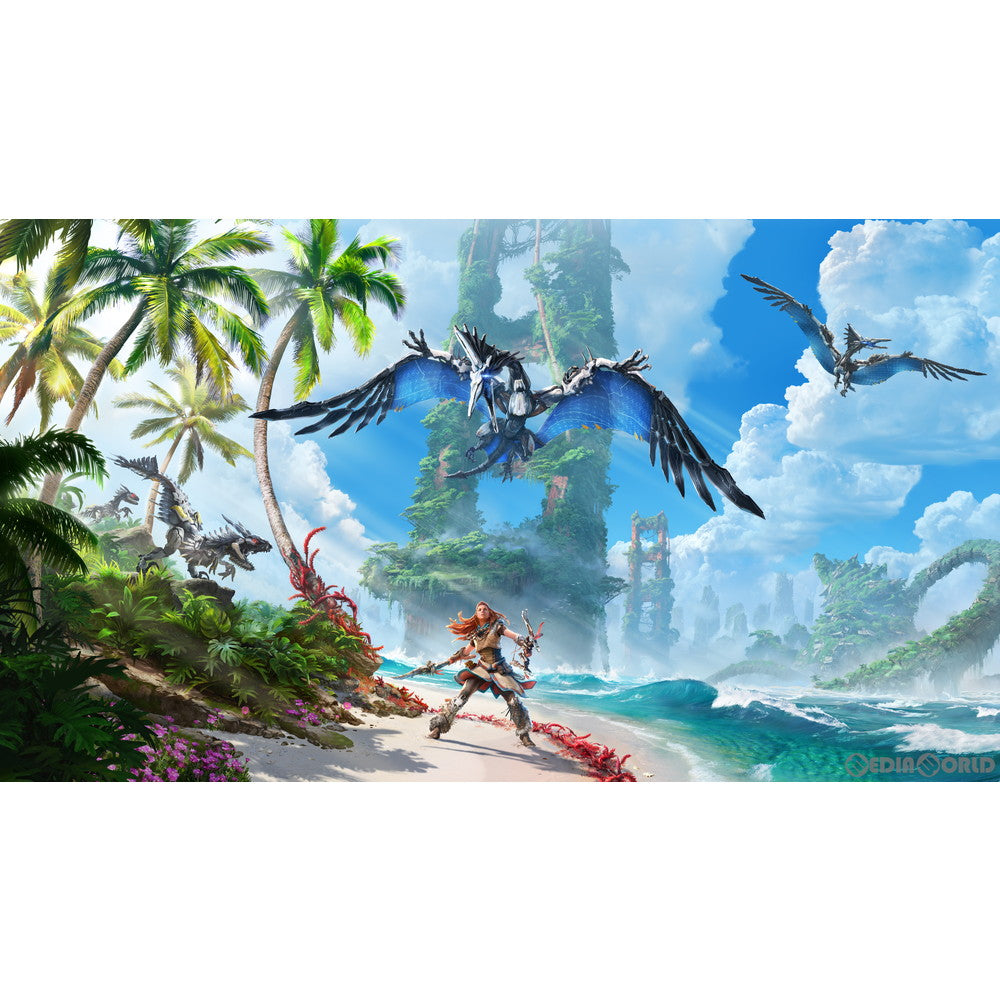 【中古即納】[お得品][表紙説明書なし][PS5] Horizon Forbidden West(ホライゾン フォービドゥン ウエスト) コレクターズエディション(限定版) SIE(20220218)