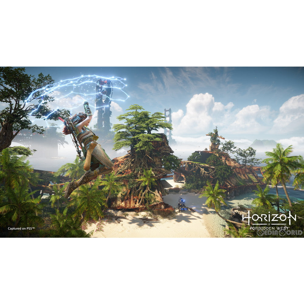 【中古即納】[お得品][表紙説明書なし][PS5] Horizon Forbidden West(ホライゾン フォービドゥン ウエスト) コレクターズエディション(限定版) SIE(20220218)