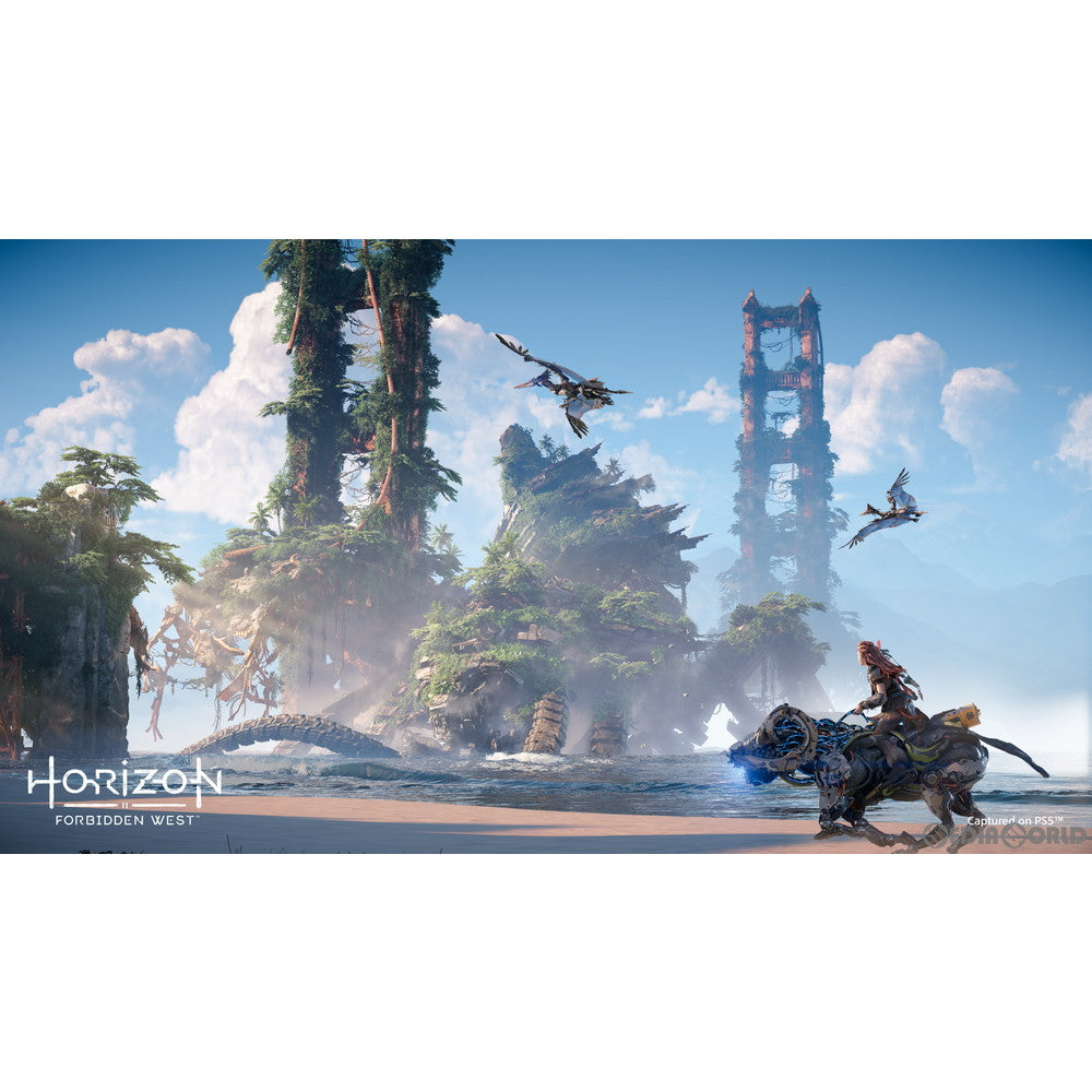 【中古即納】[お得品][表紙説明書なし][PS5] Horizon Forbidden West(ホライゾン フォービドゥン ウエスト) コレクターズエディション(限定版) SIE(20220218)