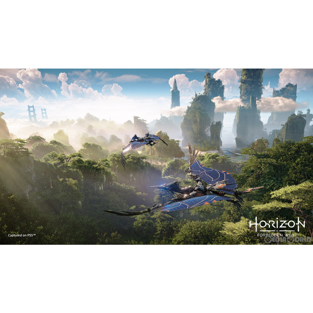 【中古即納】[お得品][表紙説明書なし][PS5] Horizon Forbidden West(ホライゾン フォービドゥン ウエスト) コレクターズエディション(限定版) SIE(20220218)