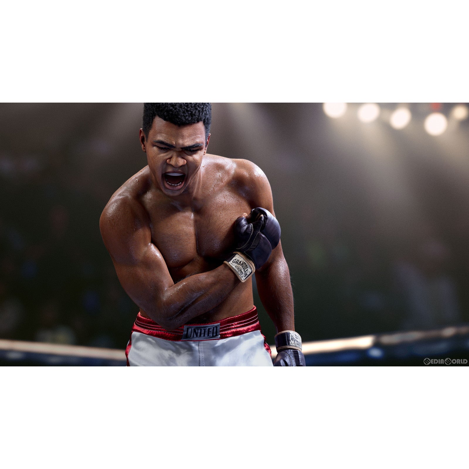 【新品即納】[PS5]予約特典付 EA SPORTS&trade; UFC&reg; 5(EA スポーツ UFC 5)(20231027)