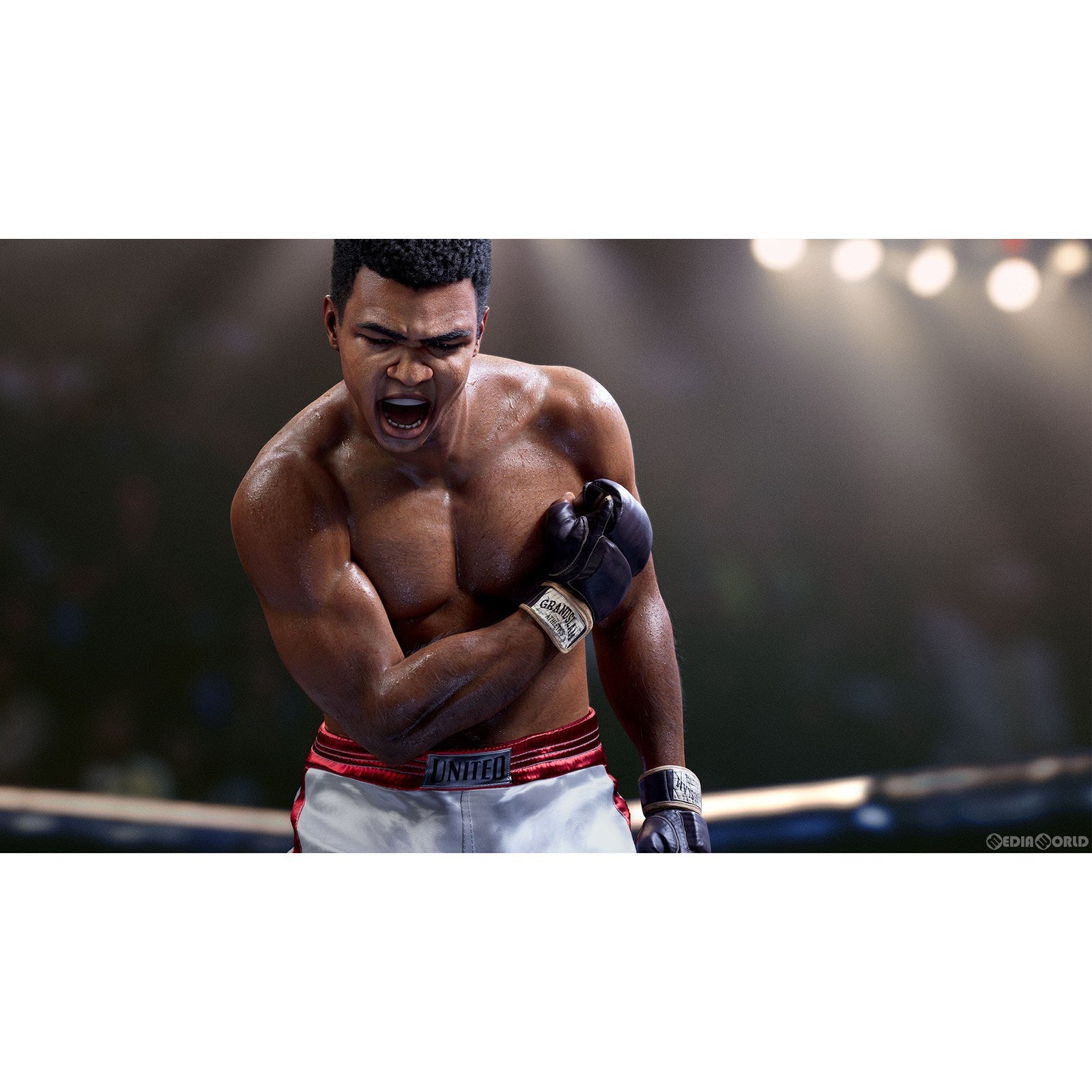 【新品即納】[PS5]予約特典付 EA SPORTS&trade; UFC&reg; 5(EA スポーツ UFC 5)(20231027)