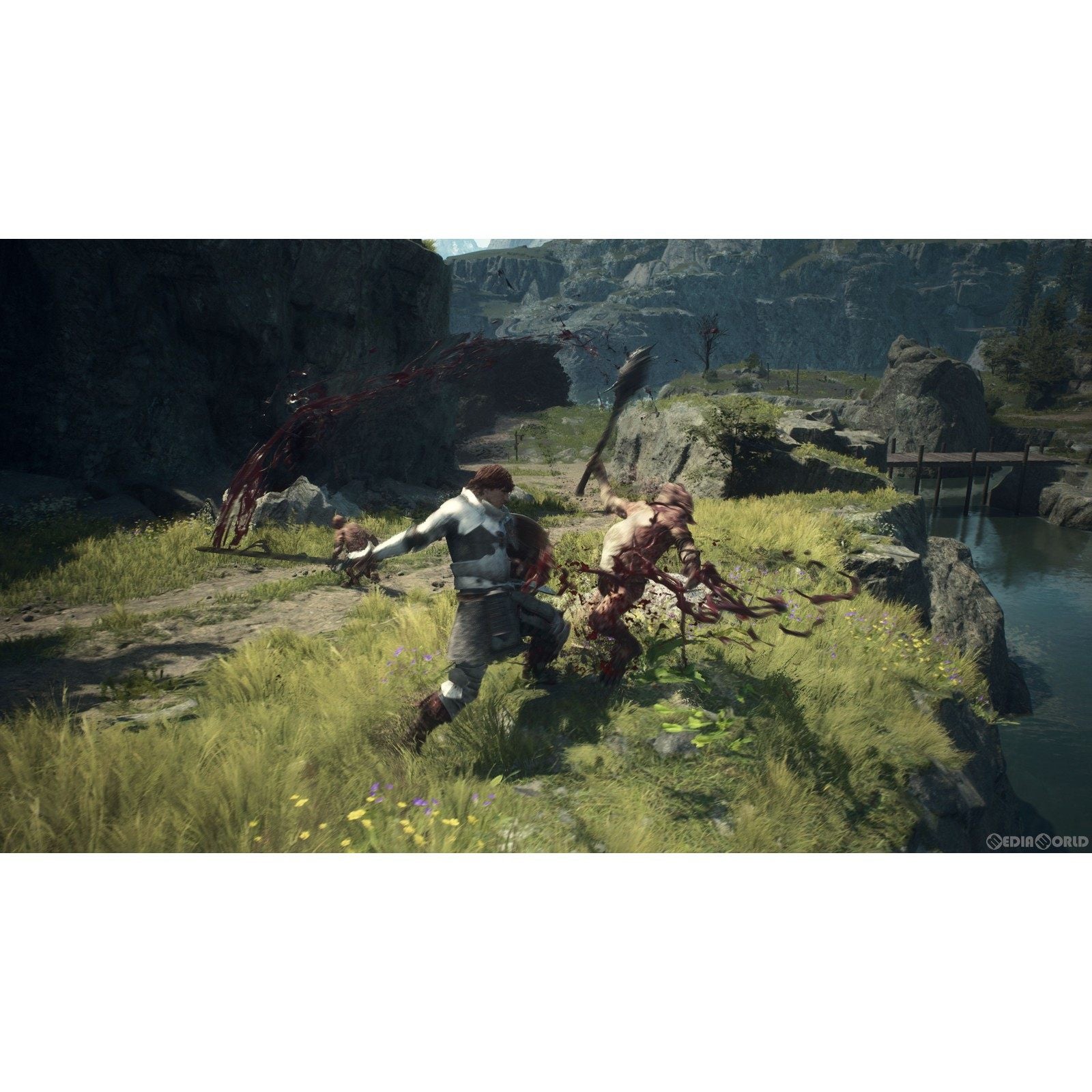 【新品即納】[PS5]数量限定特典付(はじめての戦いの備え「別注武器4種セット」※有効期限2025/3/24) ドラゴンズドグマ 2(Dragon's Dogma 2) カプコン (20240322)