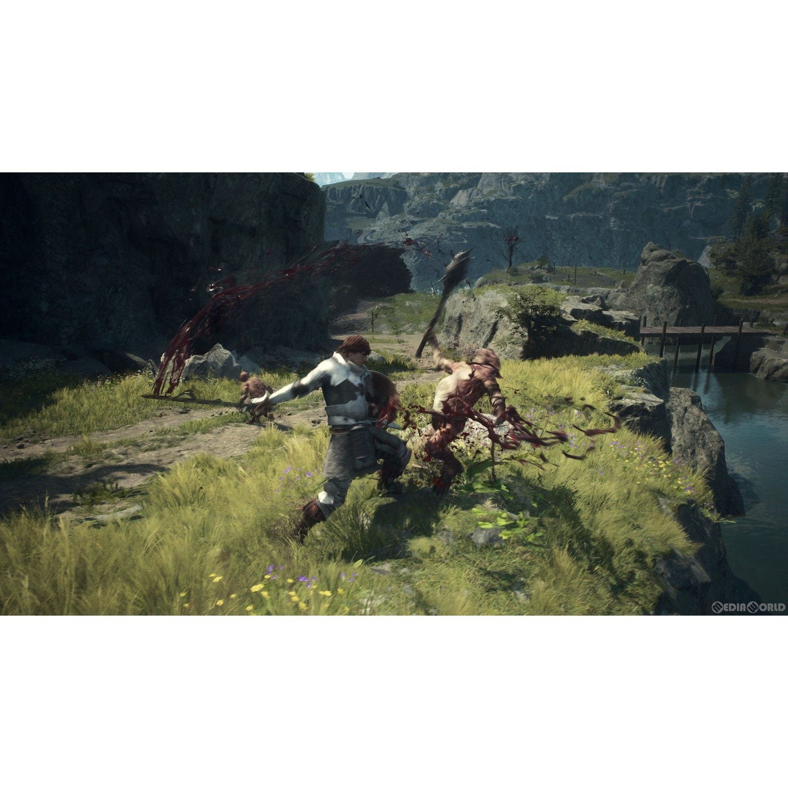 【中古即納】[PS5]ドラゴンズドグマ 2(Dragon's Dogma 2)(20240322)