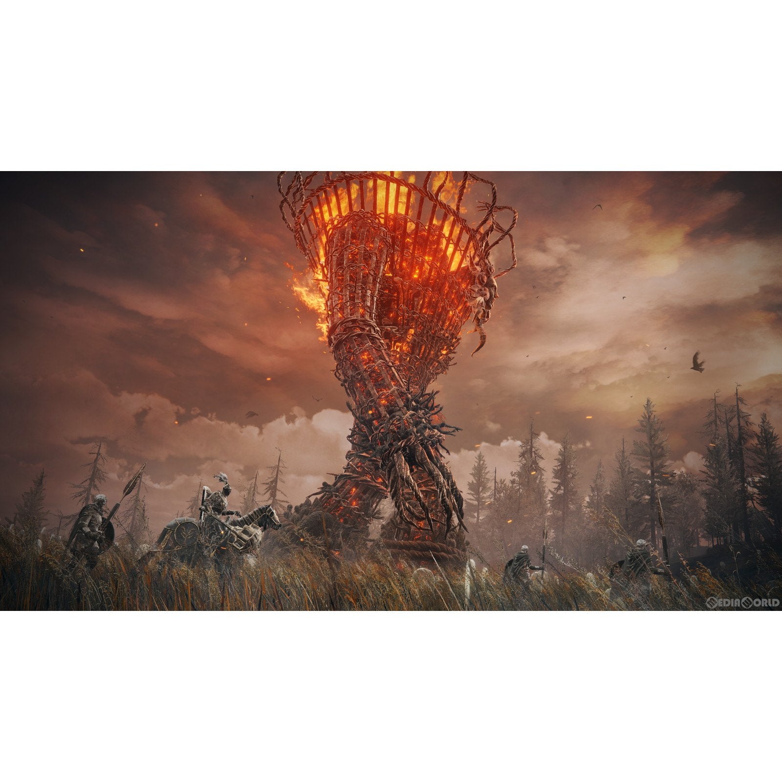 【新品即納】[PS5]数量限定特典付 ELDEN RING SHADOW OF THE ERDTREE EDITION(エルデンリング シャドウ オブ ジ エルドツリー エディション) コレクターズエディション(限定版)(DLCコード版) フロム・ソフトウェア (20240621)