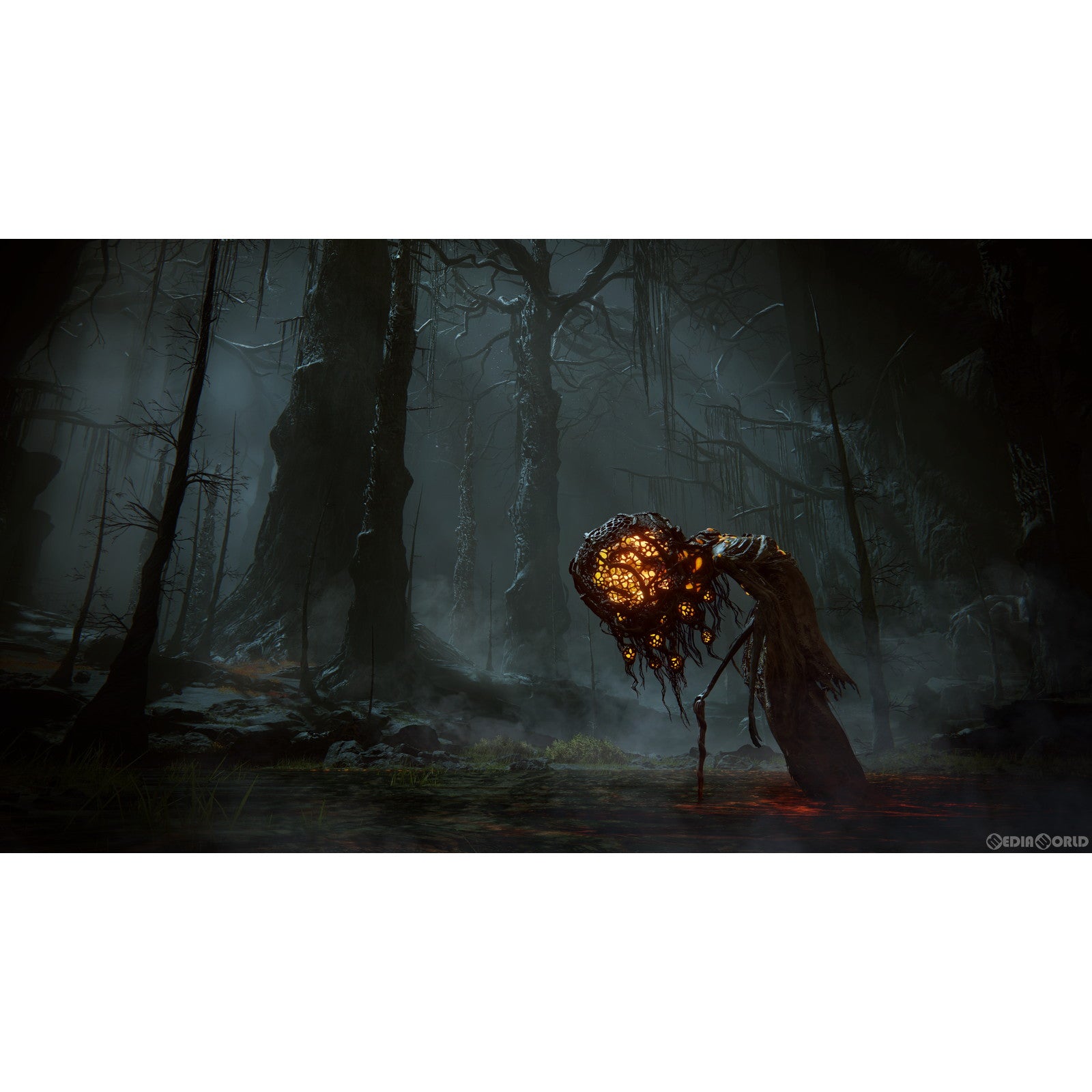 【新品即納】[PS5]数量限定特典付 ELDEN RING SHADOW OF THE ERDTREE EDITION(エルデンリング シャドウ オブ ジ エルドツリー エディション) コレクターズエディション(限定版)(DLCコード版) フロム・ソフトウェア (20240621)