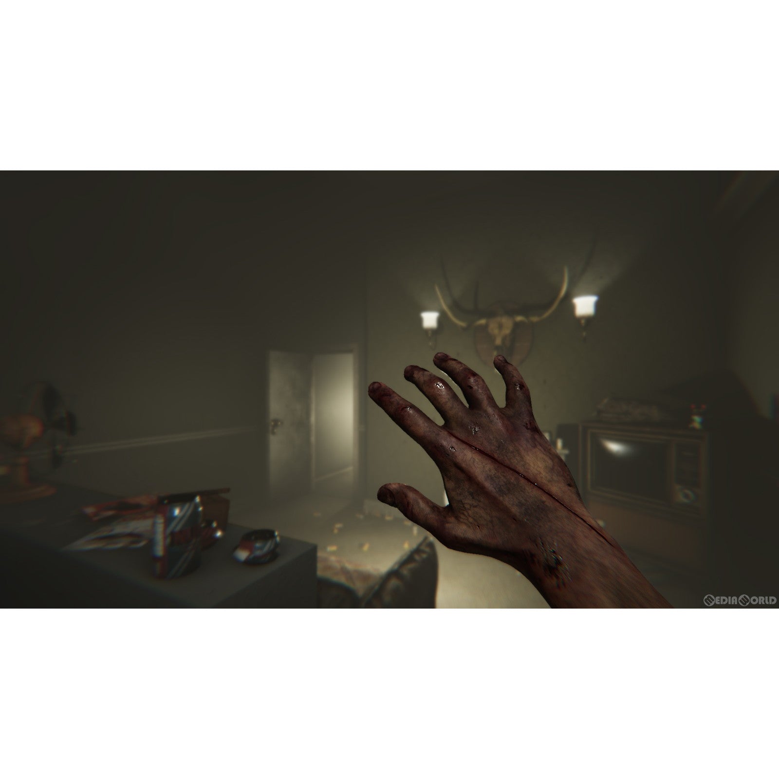 【新品即納】[PS5]初回特典付(迷路カード(緑)) MADiSON(マディソン) Collectors Edition(コレクターズエディション)(限定版) Beep Japan (20240711)