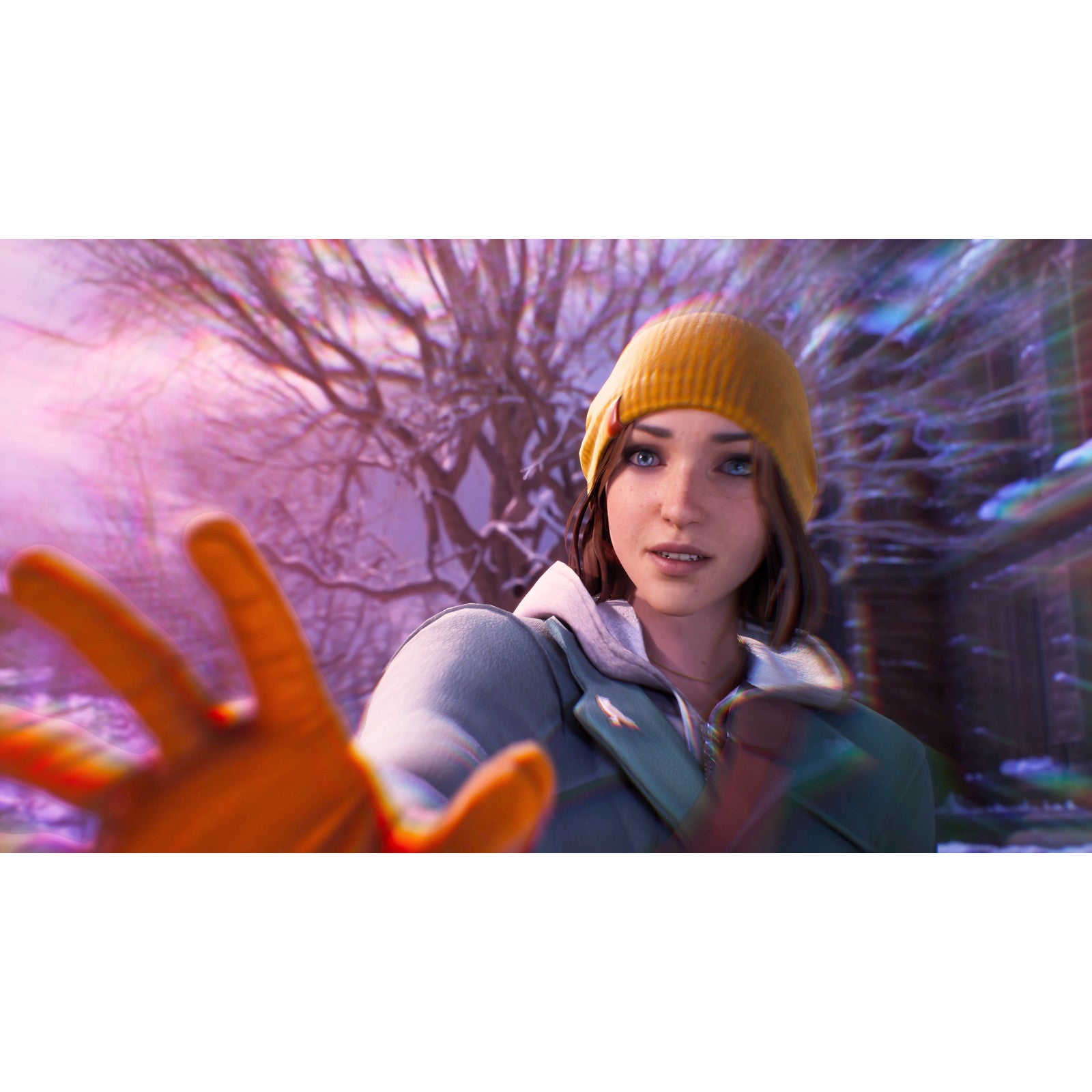 【中古即納】[PS5]ライフ イズ ストレンジ ダブルエクスポージャー(Life is Strange: Double Exposure)(20241030)