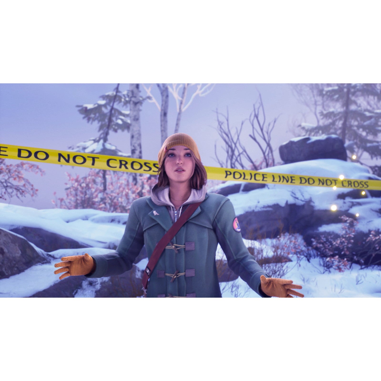 【新品即納】[PS5]ライフ イズ ストレンジ ダブルエクスポージャー(Life is Strange: Double Exposure) スクウェア・エニックス (20241030)