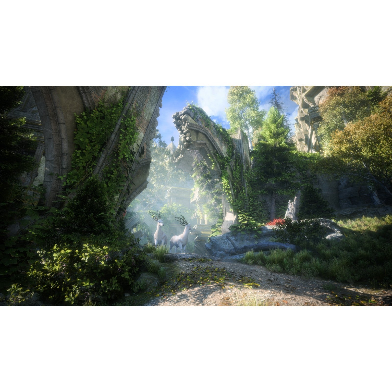 【新品即納】[PS5]予約特典付(ブラッドドラゴン防具装飾アイテム) ドラゴンエイジ: ヴェイルの守護者 通常版 エレクトロニック・アーツ (20241031)