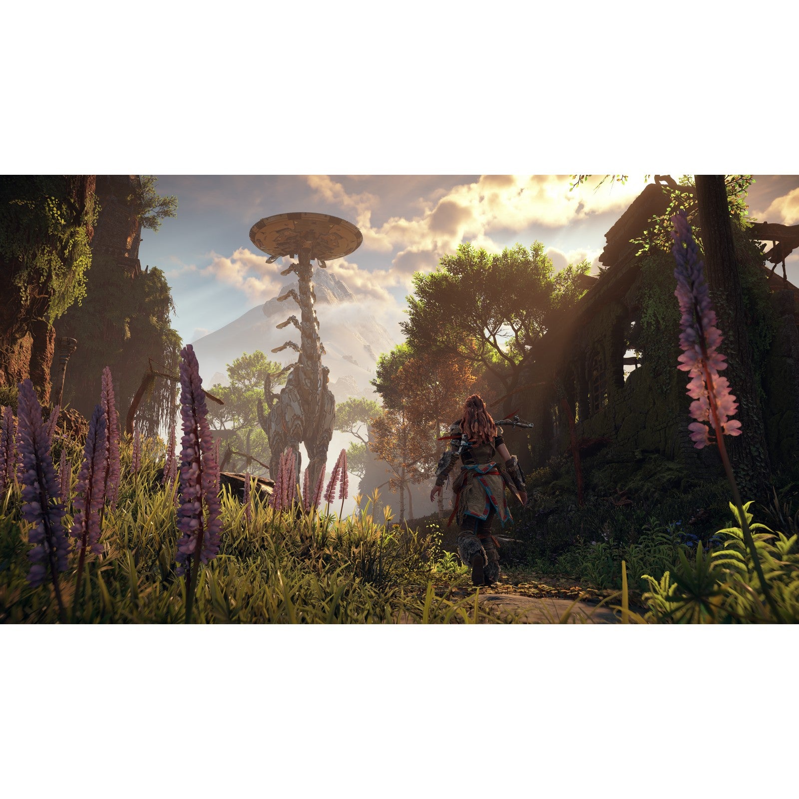 【中古即納】[PS5] Horizon Zero Dawn Remastered(ホライゾン ゼロ ドーン リマスター) SIE(20241031)