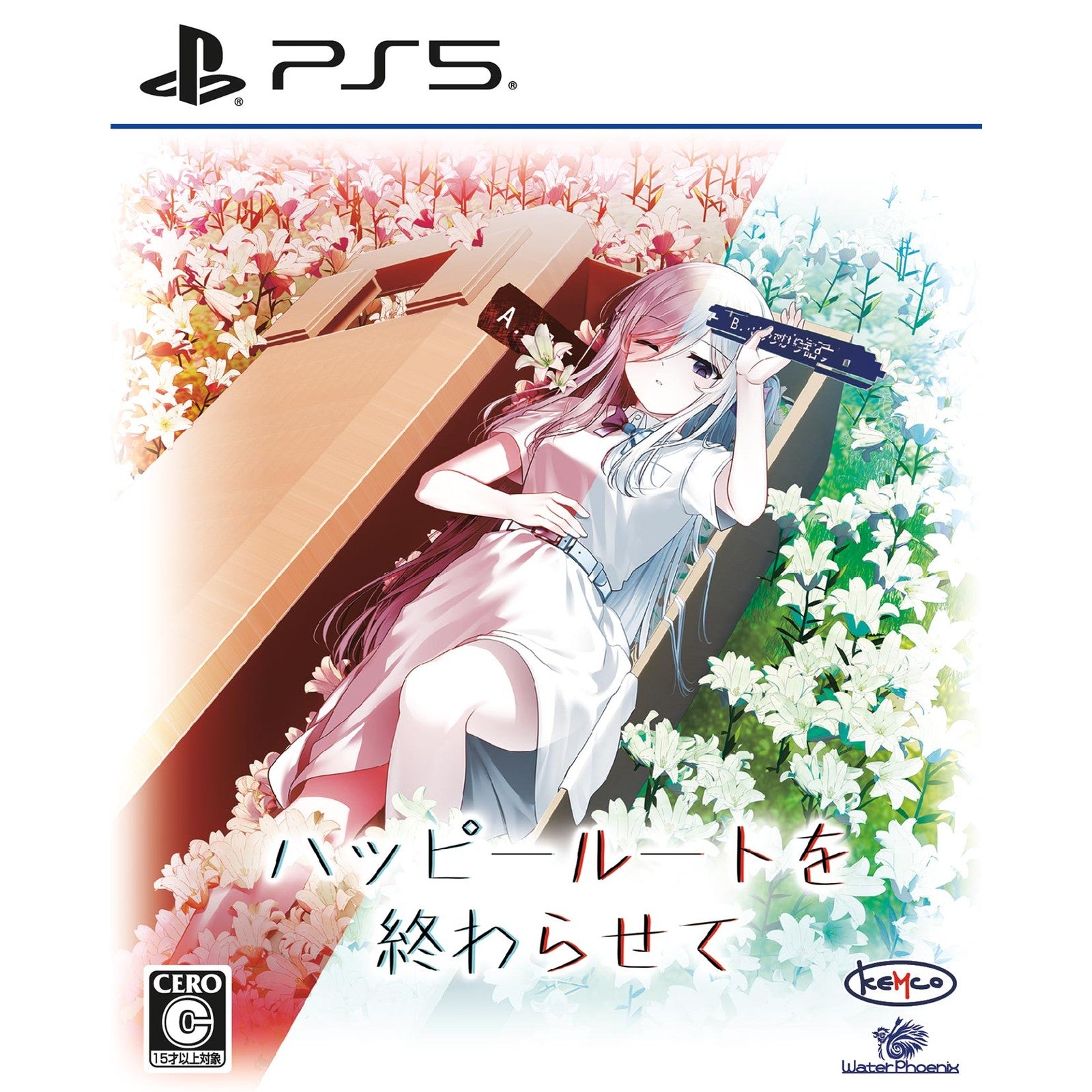 【中古即納】[PS5] ハッピールートを終わらせて ケムコ(20251002)