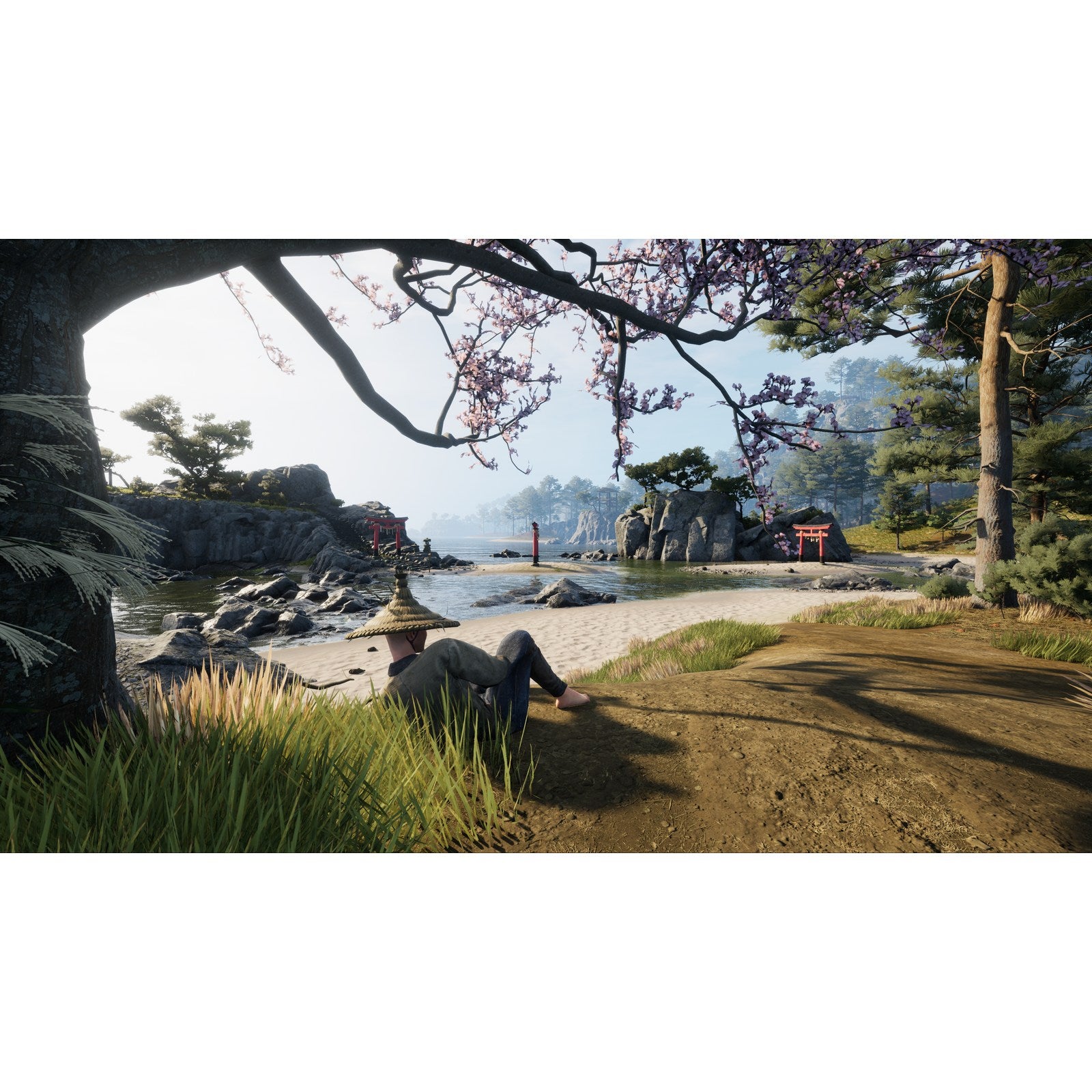 【中古即納】[PS5] Sengoku Dynasty(戦国ダイナスティ) H2 INTERACTIVE(20250918)