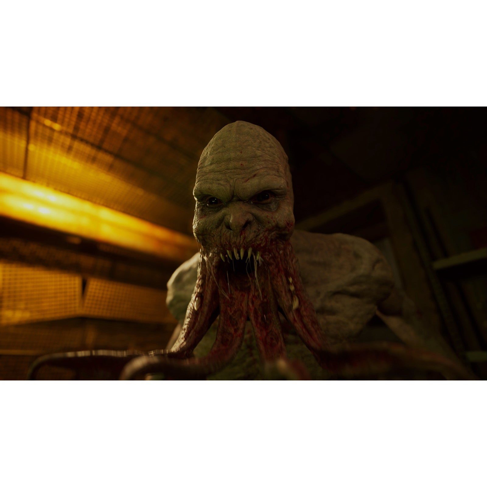 【中古即納】[PS5] S.T.A.L.K.E.R. 2: Heart of Chornobyl(ストーカーツー:ハート オブ チョルノービリ) GSC Game World(20251120)