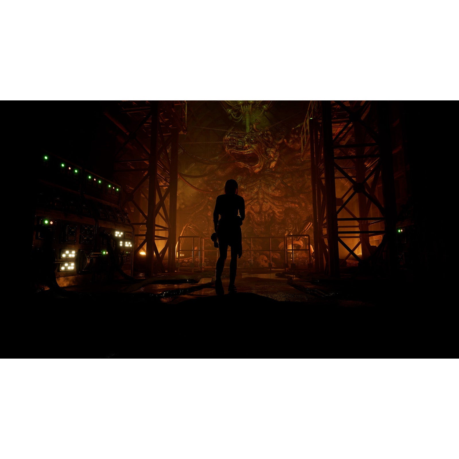 【予約前日出荷】[PS5] TORMENTED SOULS 2(苦悶の魂2) SOFT SOURCE(20260122)