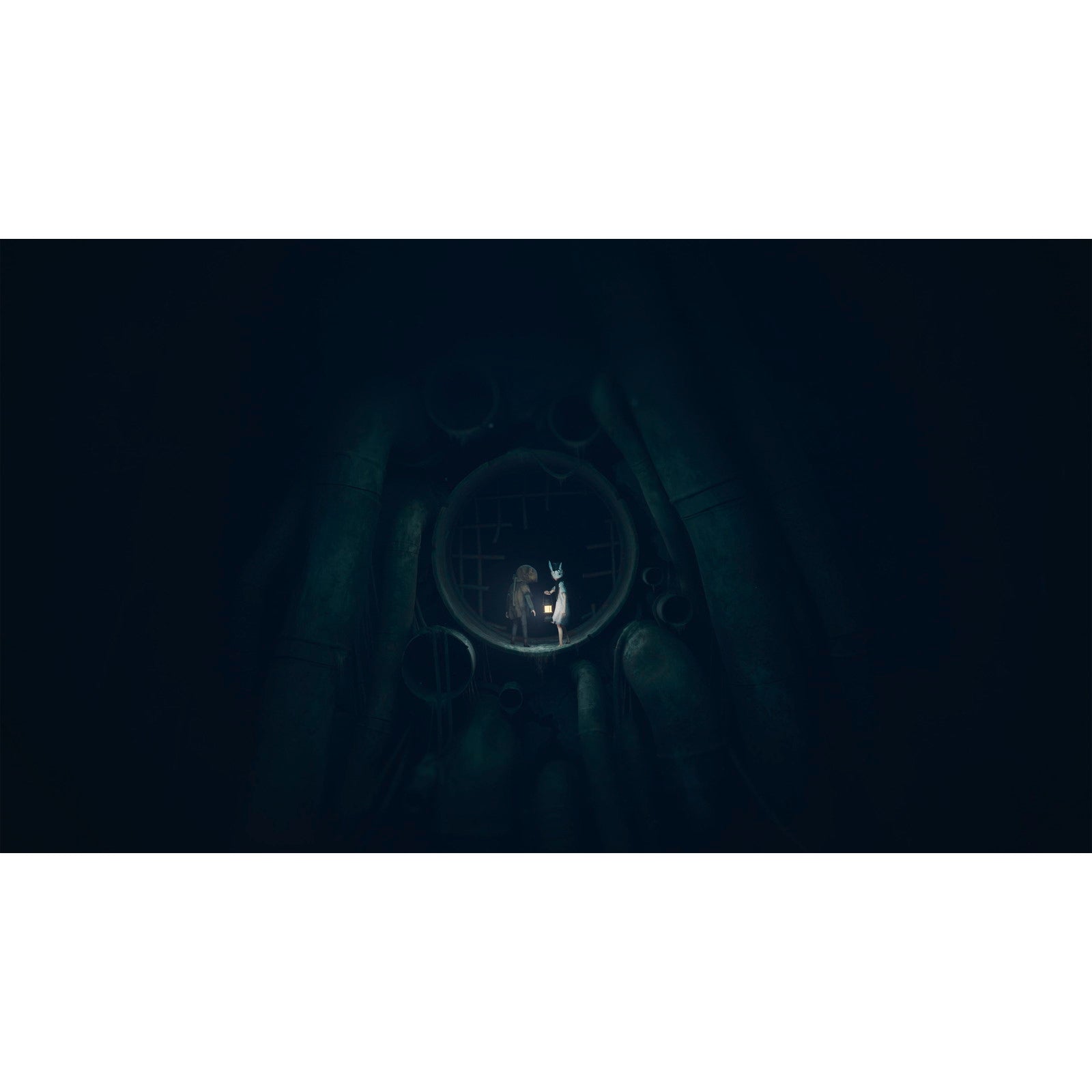 【予約前日出荷】[PS5] REANIMAL(リアニマル) 通常版 THQ Nordic(20260213)