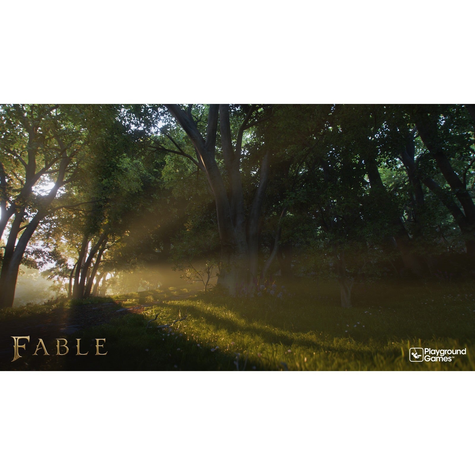 【予約前日出荷】[PS5] 予約特典付(予約特典コンテンツパック) Fable(フェイブル)(オンライン専用) 日本マイクロソフト(20270224)