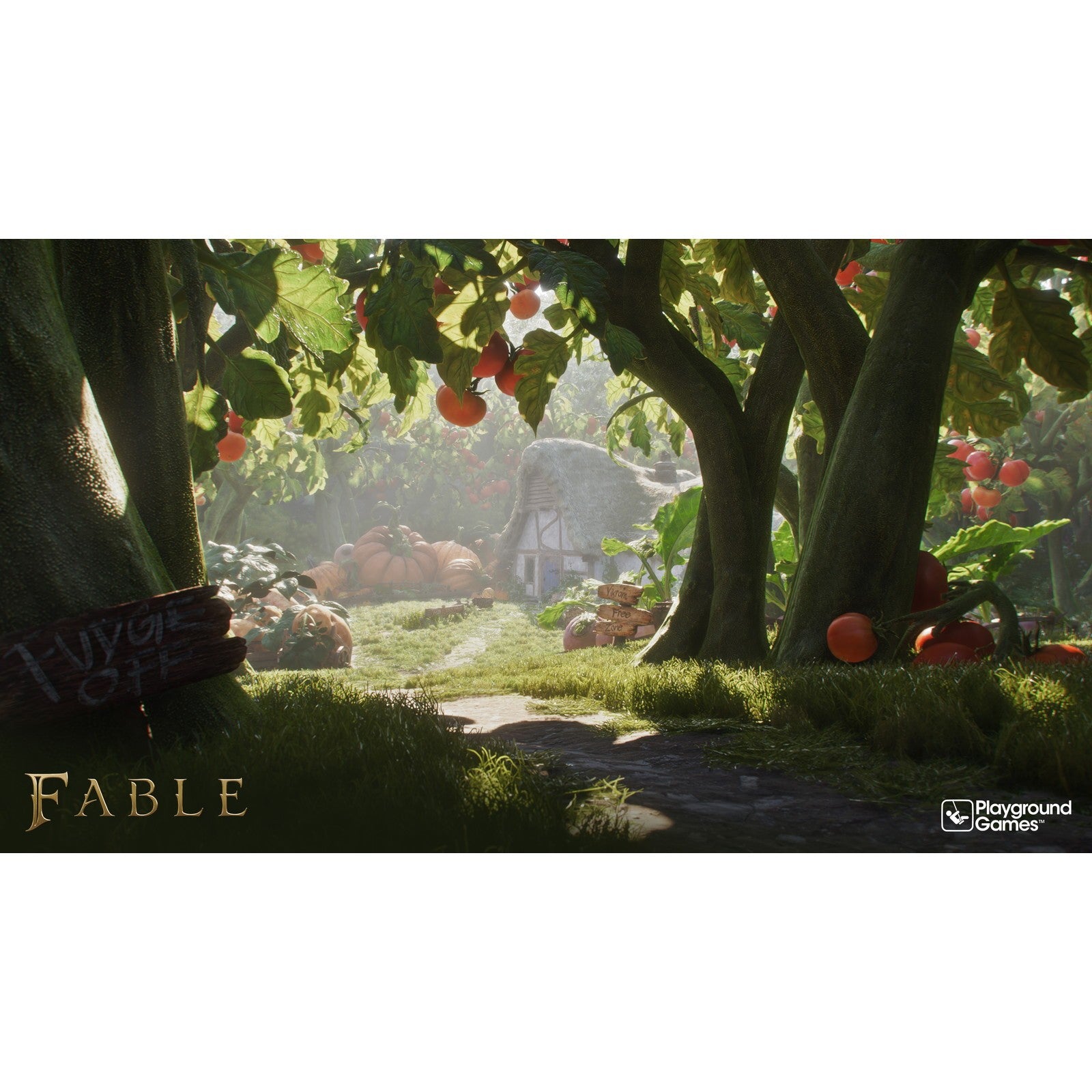 【予約前日出荷】[PS5] 予約特典付(予約特典コンテンツパック) Fable(フェイブル)(オンライン専用) 日本マイクロソフト(20270224)