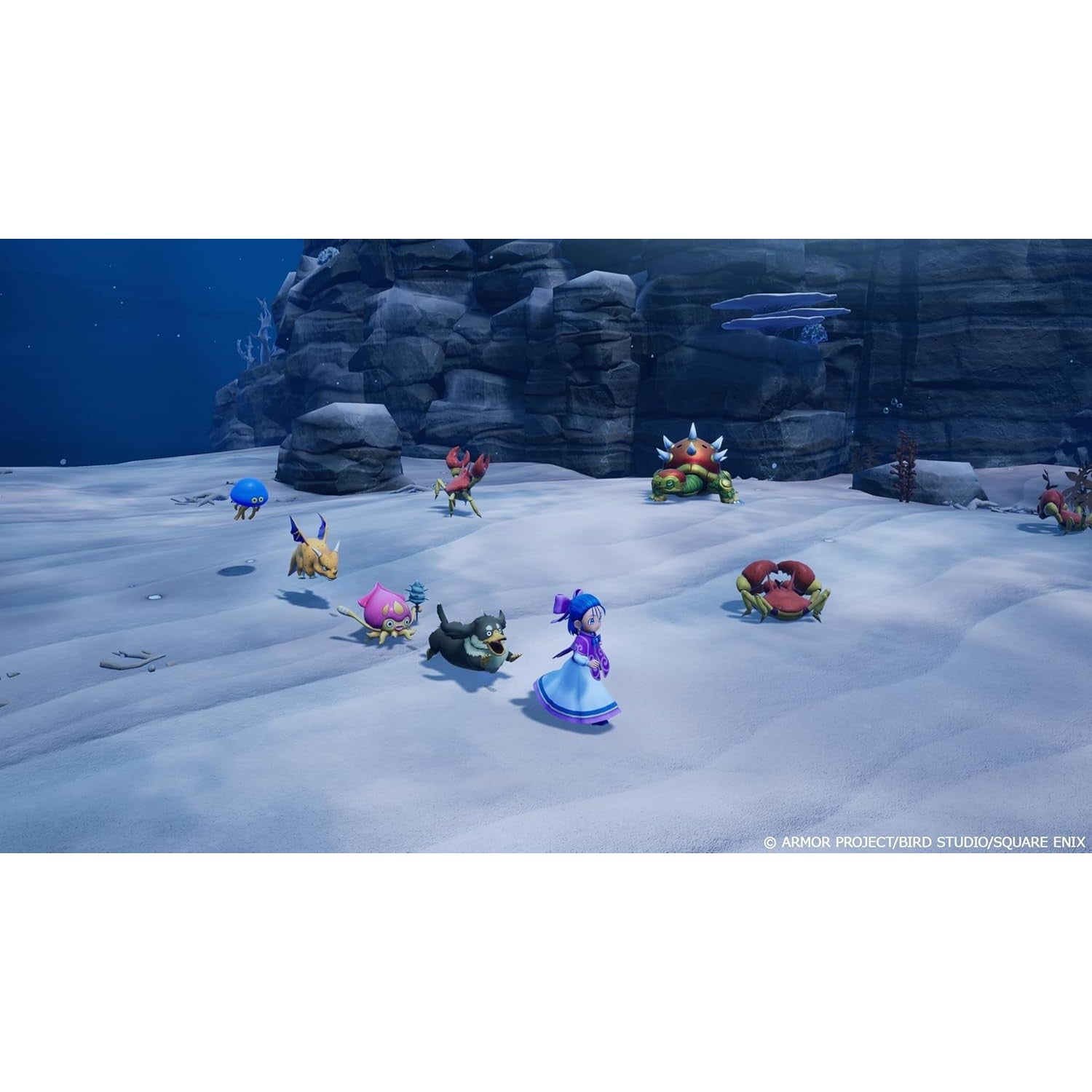 【予約前日出荷】[PS5] 早期購入特典付(冒険スタートダッシュセット) ドラゴンクエストモンスターズ4 枯れ木の国のビアンカ・フローラ 通常版 スクウェア・エニックス(20261203)