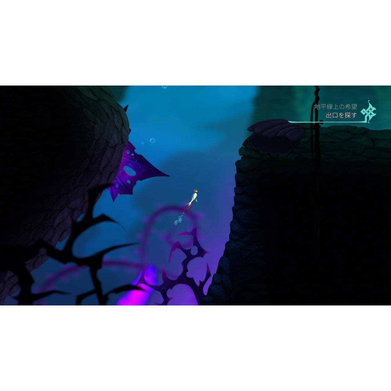 【予約前日出荷】[PS5] Bahamut and the Waqwaq Tree(バハムート・アンド・ザ・ワクワク・ツリー) SOFT SOURCE(20261022)