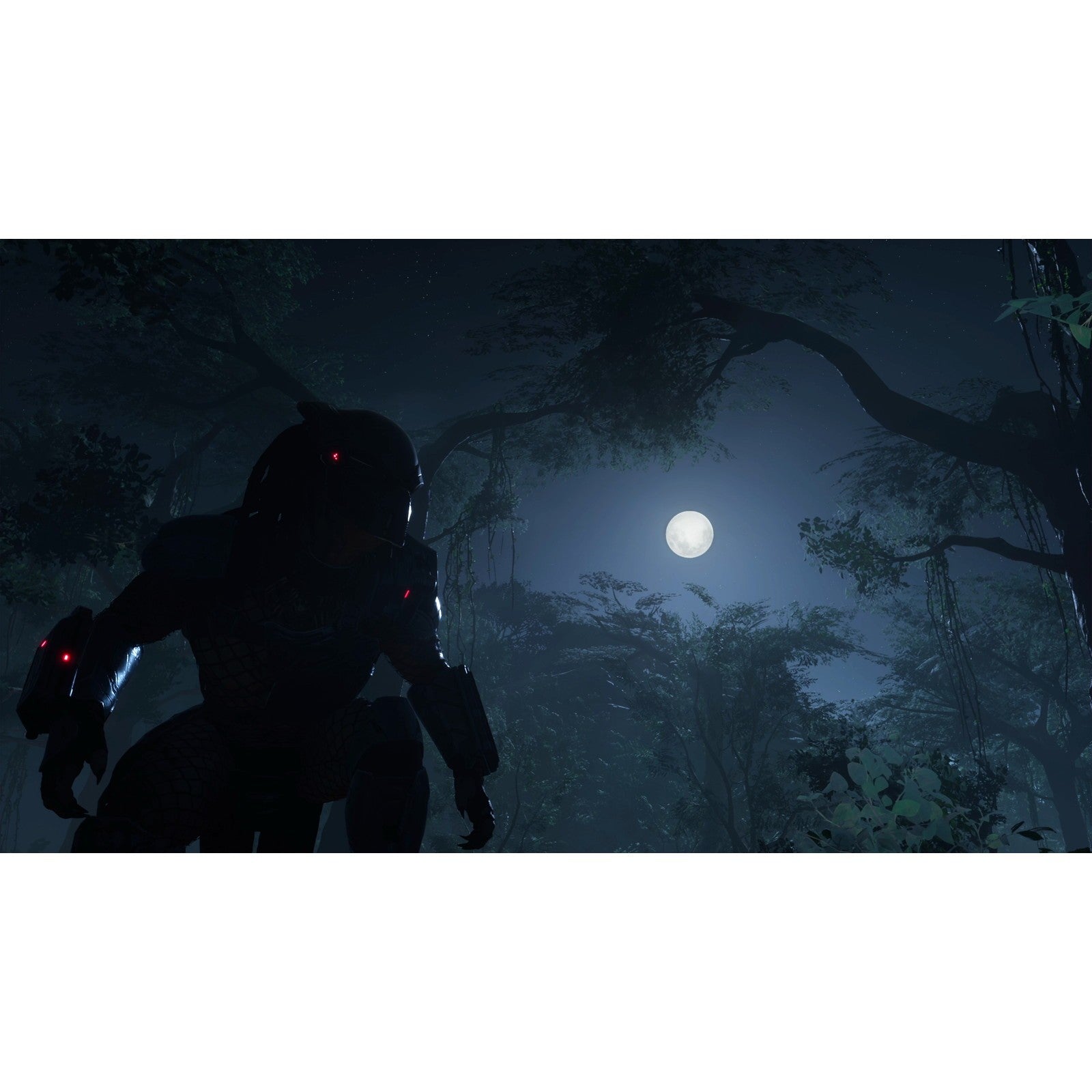 【予約前日出荷】[PS5] Predator: Hunting Grounds(プレデター:ハンティング グラウンズ)(オンライン専用) SOFT SOURCE(20261210)