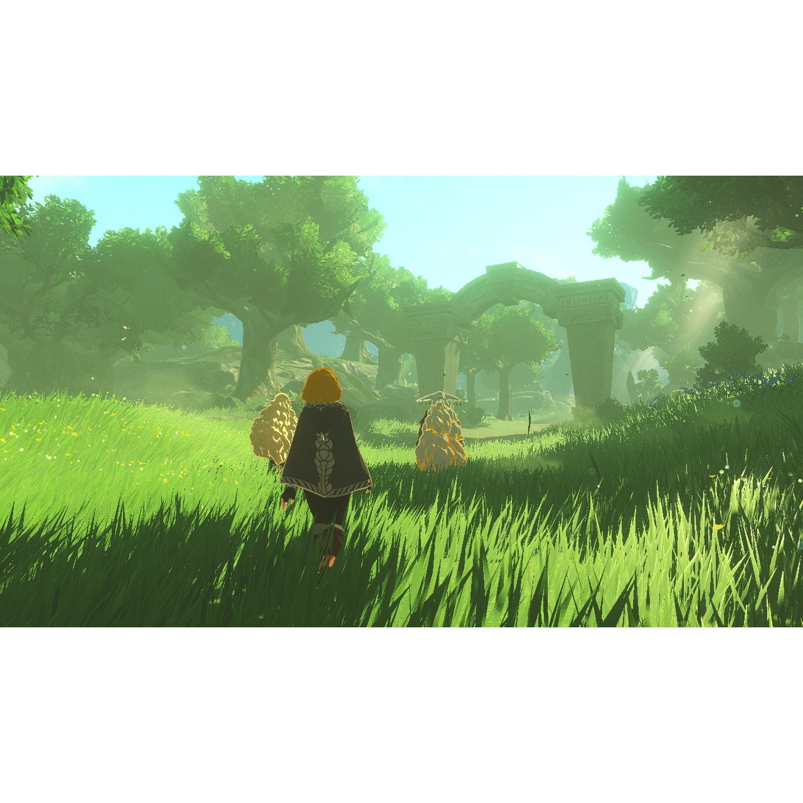 【予約前日出荷】[Switch2] ゼルダ無双 封印戦記 コーエーテクモゲームス(20251106)