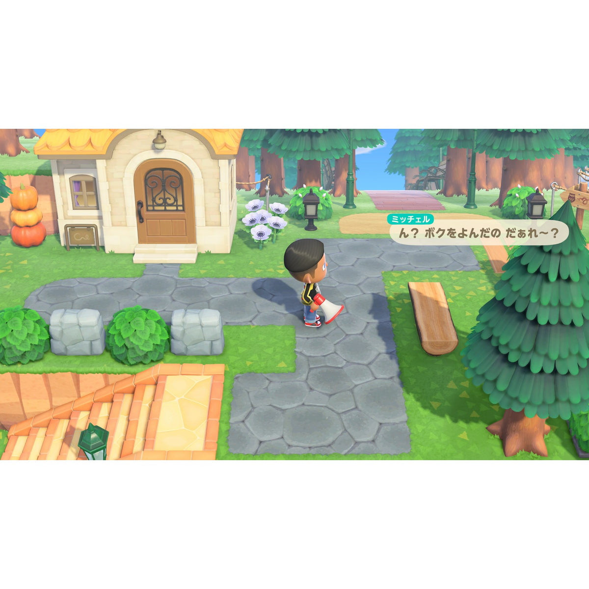 【中古即納】[お得品][表紙説明書なし][Switch2] あつまれ どうぶつの森 Nintendo Switch 2 Edition(ニンテンドースイッチ2 エディション) 任天堂(20260115)