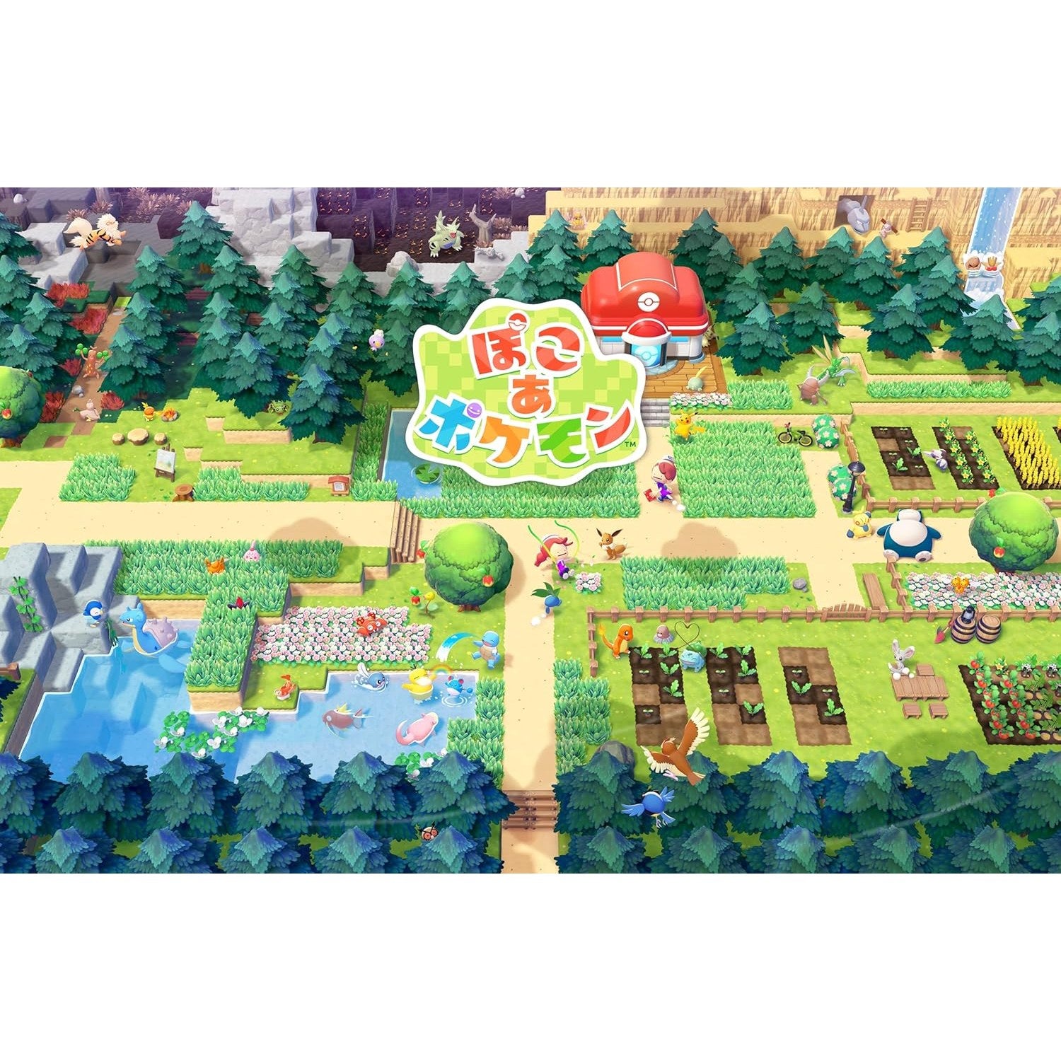 【予約前日出荷】[Switch2] 早期購入特典付(メタモンラグ ※受取期限2027/1/31まで) ぽこ あ ポケモン ポケモン(20260305)