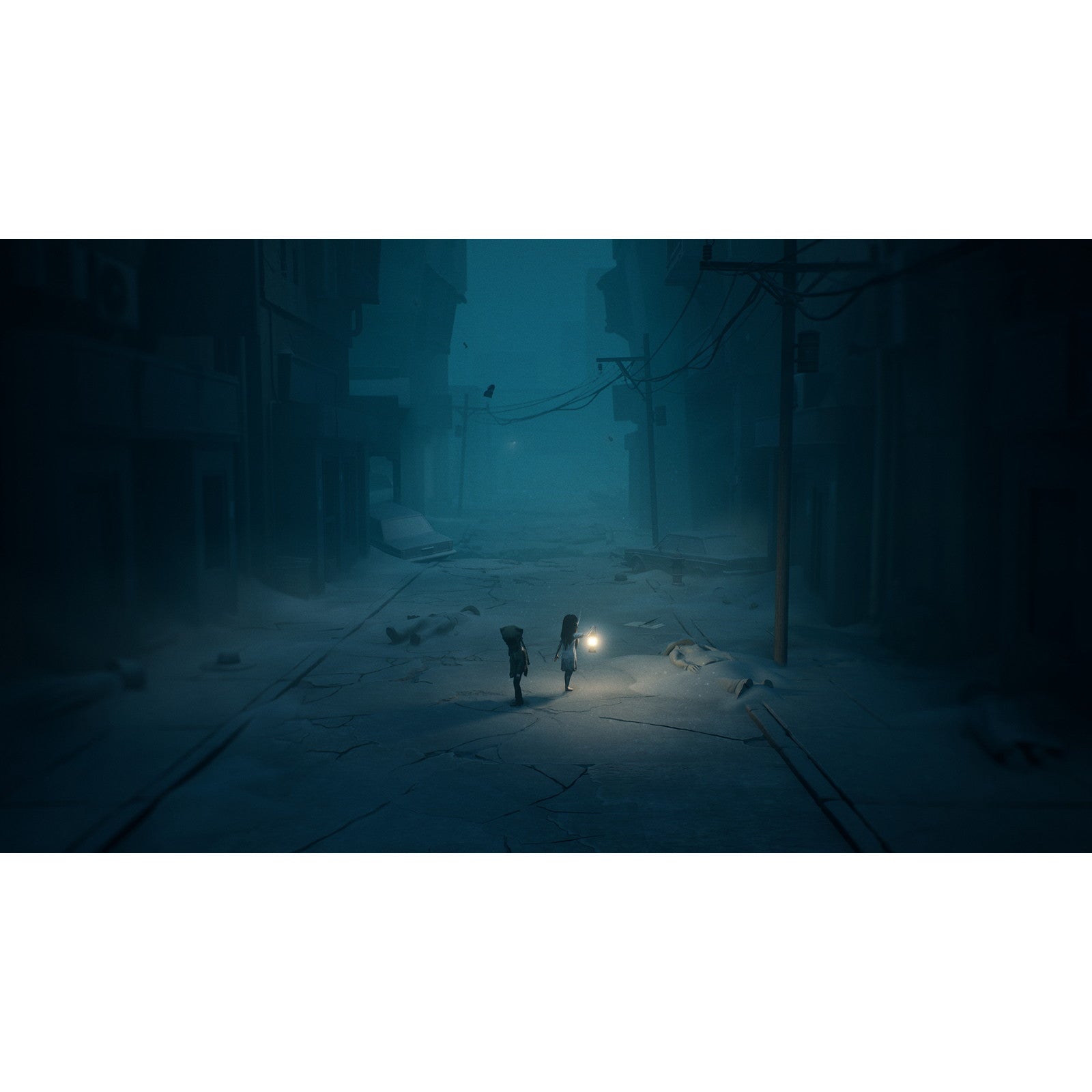 【中古即納】[Switch2] REANIMAL(リアニマル) 通常版 THQ Nordic(20260213)