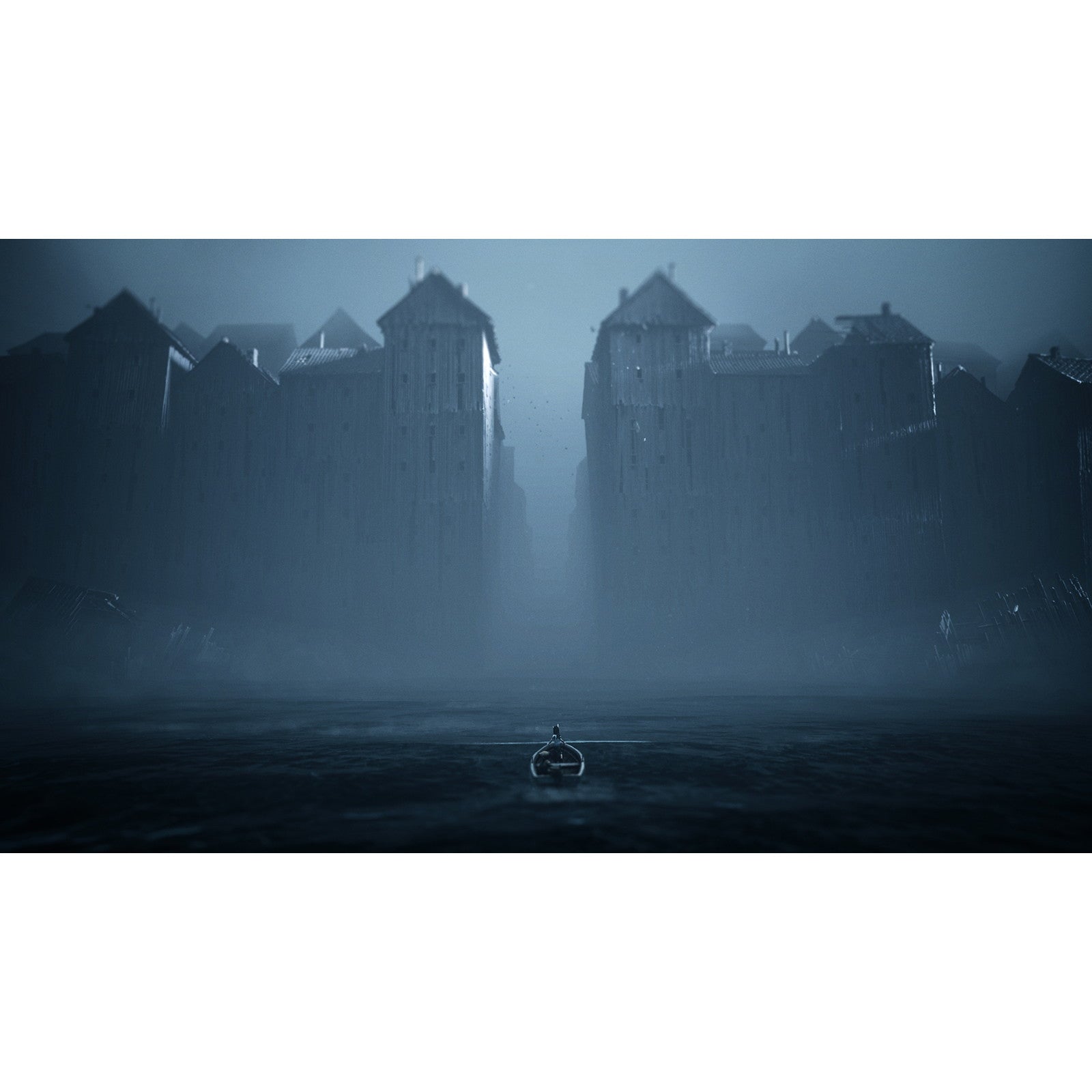 【予約前日出荷】[Switch2] REANIMAL(リアニマル) COLLECTOR'S BOX(コレクターズボックス)(限定版) THQ Nordic(20260213)