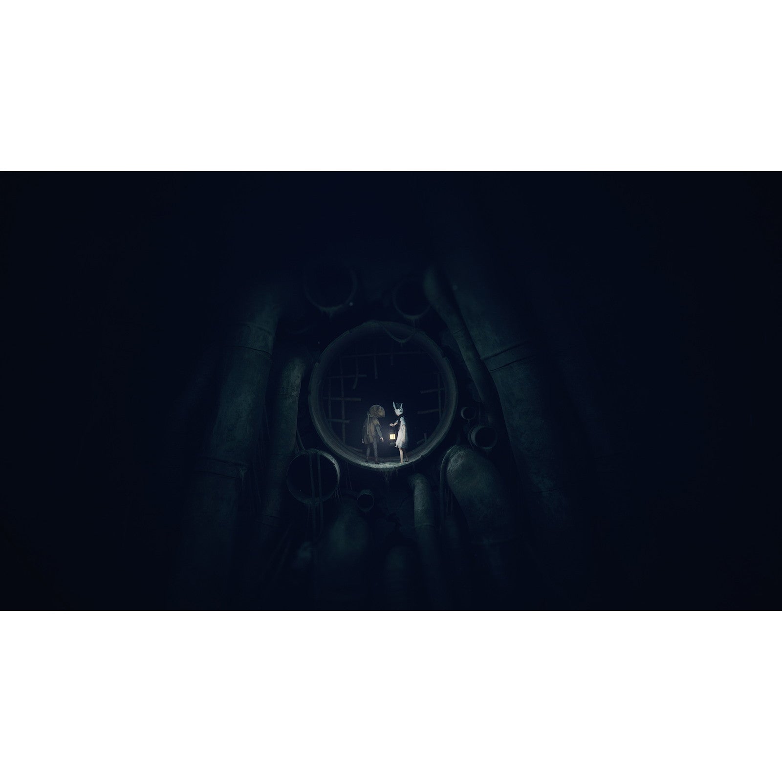 【予約前日出荷】[Switch2] REANIMAL(リアニマル) COLLECTOR'S BOX(コレクターズボックス)(限定版) THQ Nordic(20260213)