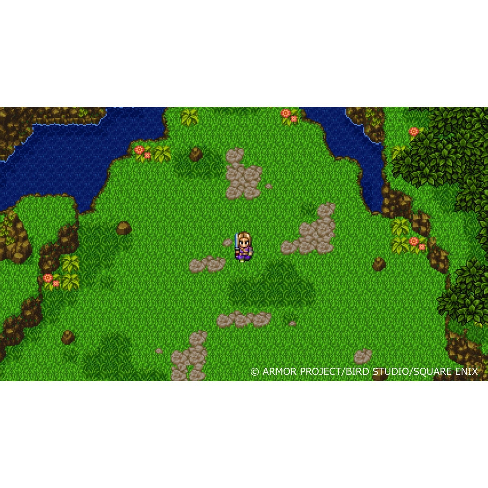 【予約前日出荷】[Switch2] ドラゴンクエストXI(ドラクエ11) 過ぎ去りし時を求めて S スクウェア・エニックス(20260924)
