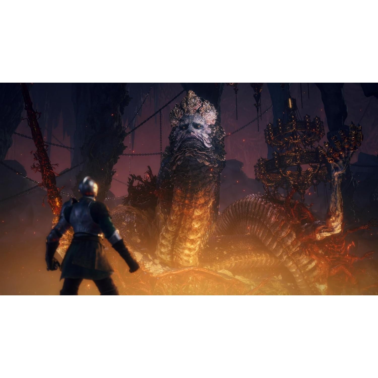 【予約前日出荷】[Switch2] ELDEN RING Tarnished Edition(エルデンリング ターニッシュド エディション) カプコン(20260828)