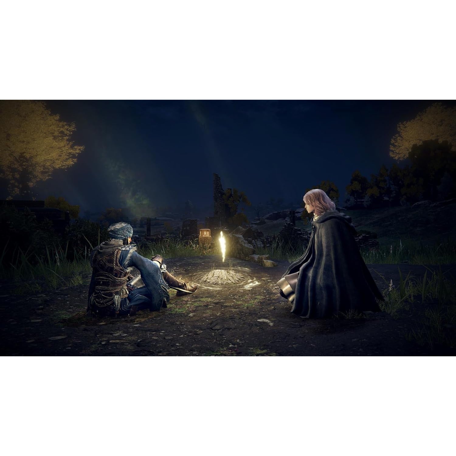 【予約前日出荷】[Switch2] ELDEN RING Tarnished Edition(エルデンリング ターニッシュド エディション) カプコン(20260828)