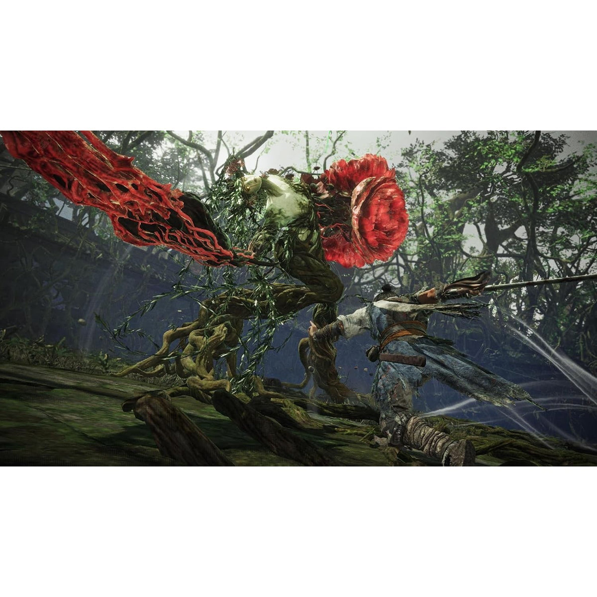 【新品】【お取り寄せ】[Switch2] Wo Long: Fallen Dynasty Complete Edition(ウォーロン:フォールン ダイナスティ コンプリートエディション) コーエーテクモゲームス(20260903)
