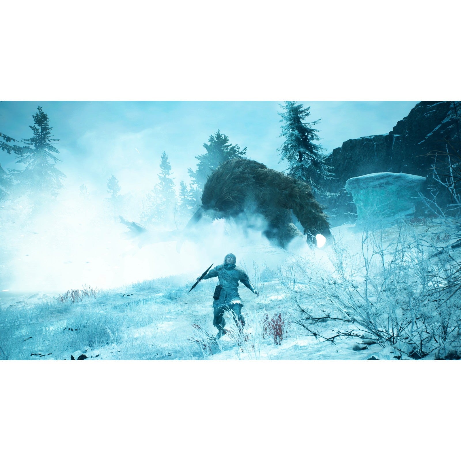 【予約前日出荷】[Switch2] 早期購入特典付(極北の地での装い ノルガン着飾りセット) Dragon's Dogma 2: DARK ARISEN(ドラゴンズドグマ2:ダークアリズン) カプコン(20261009)