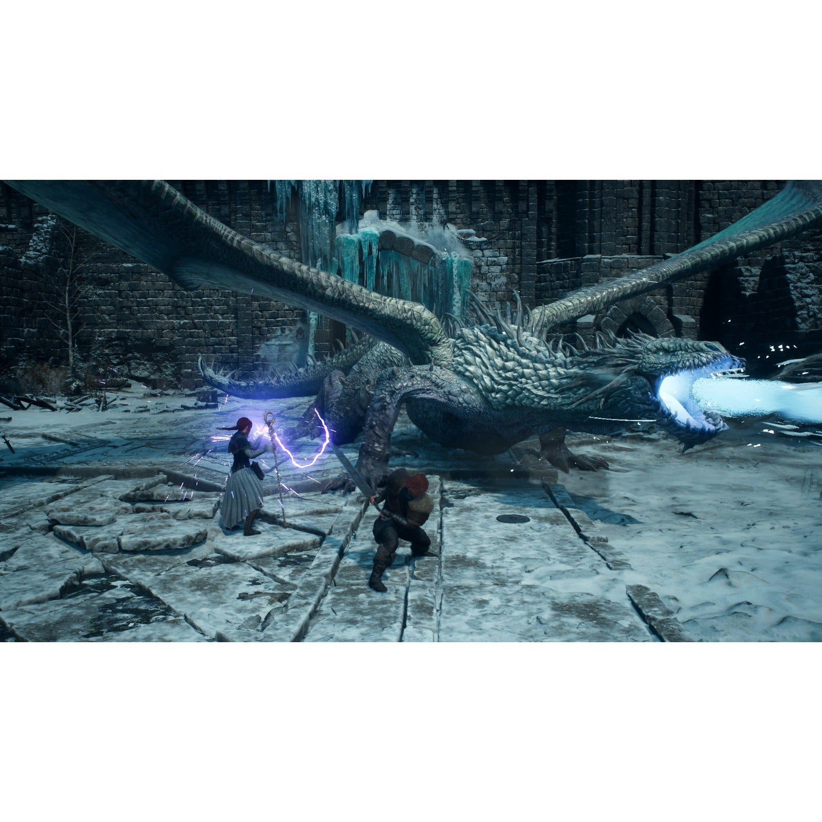 【予約前日出荷】[Switch2] 早期購入特典付(極北の地での装い ノルガン着飾りセット) Dragon's Dogma 2: DARK ARISEN(ドラゴンズドグマ2:ダークアリズン) カプコン(20261009)