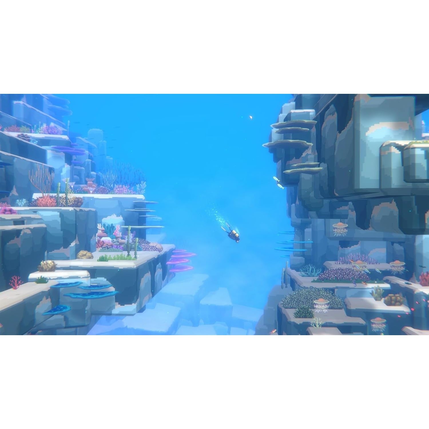 【予約前日出荷】[Switch2] デイヴ・ザ・ダイバー(DAVE THE DIVER) COMPLETE EDITION(コンプリートエディション) アークシステムワークス(20261008)