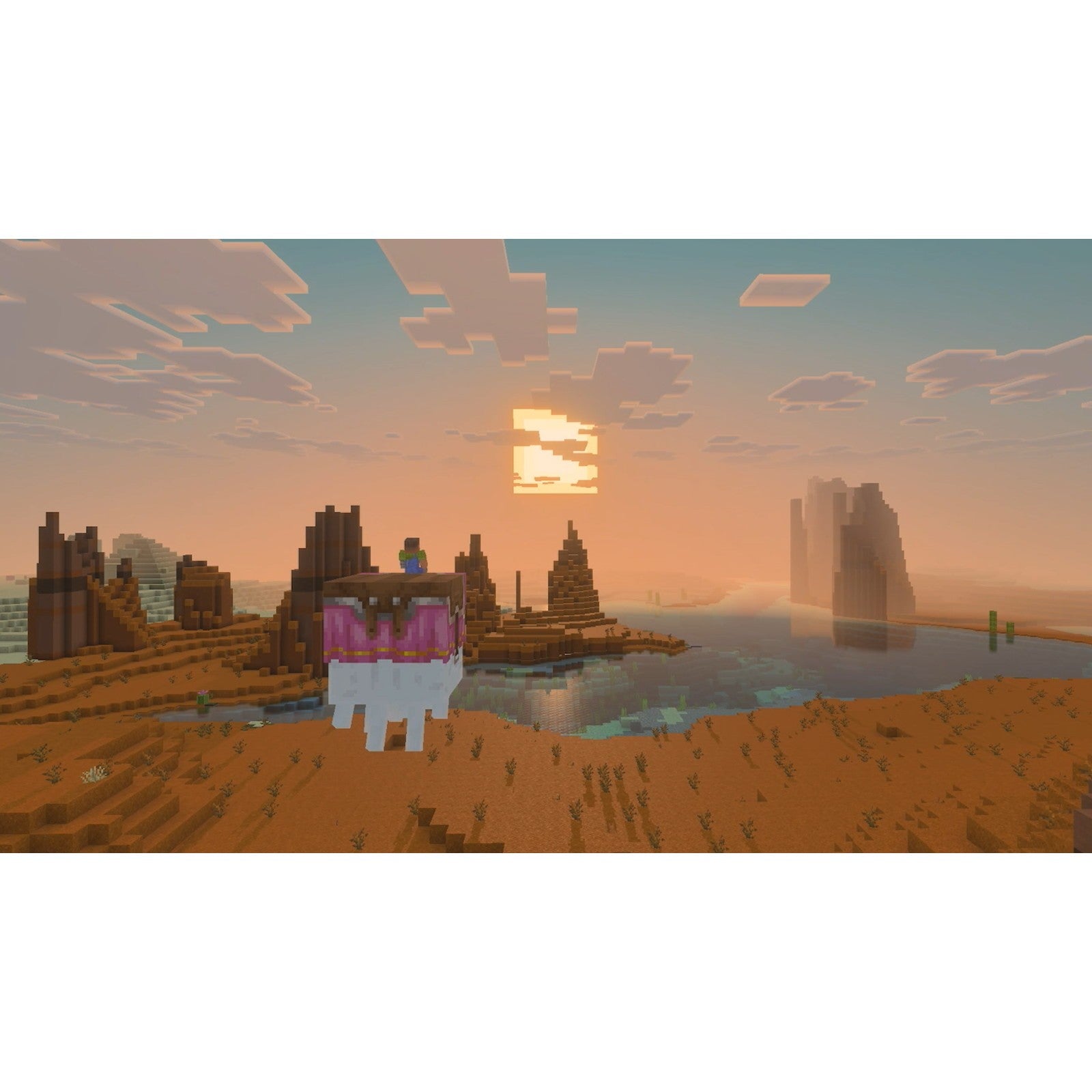【予約前日出荷】[Switch2] Minecraft(マインクラフト) 日本マイクロソフト(20261028)