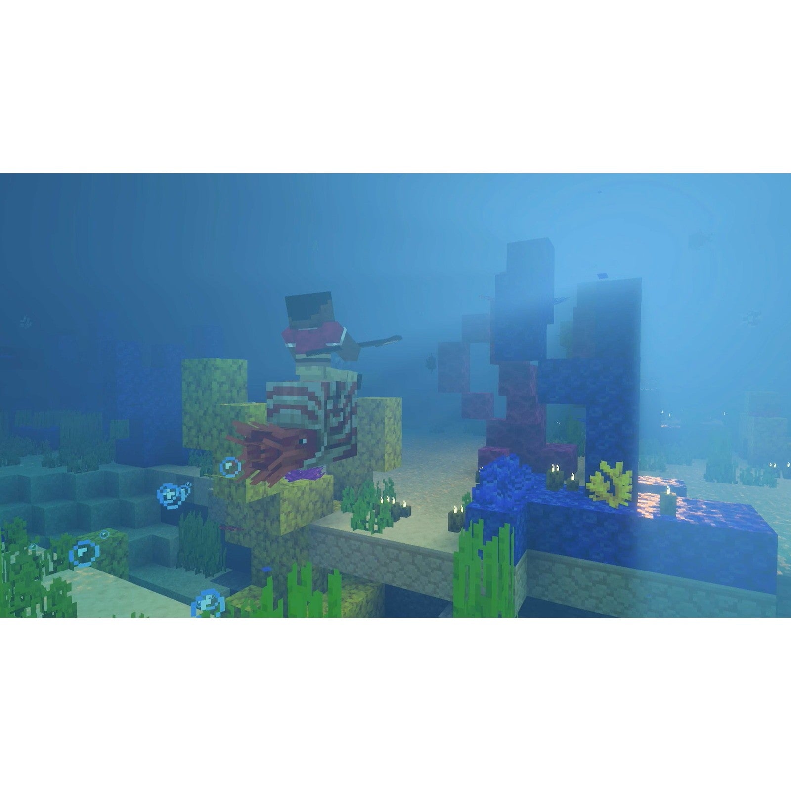 【予約前日出荷】[Switch2] Minecraft(マインクラフト) 日本マイクロソフト(20261028)