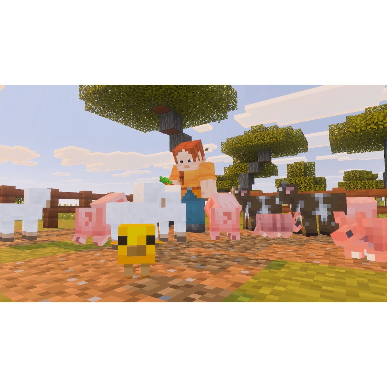 【予約前日出荷】[Switch2] Minecraft(マインクラフト) 日本マイクロソフト(20261028)