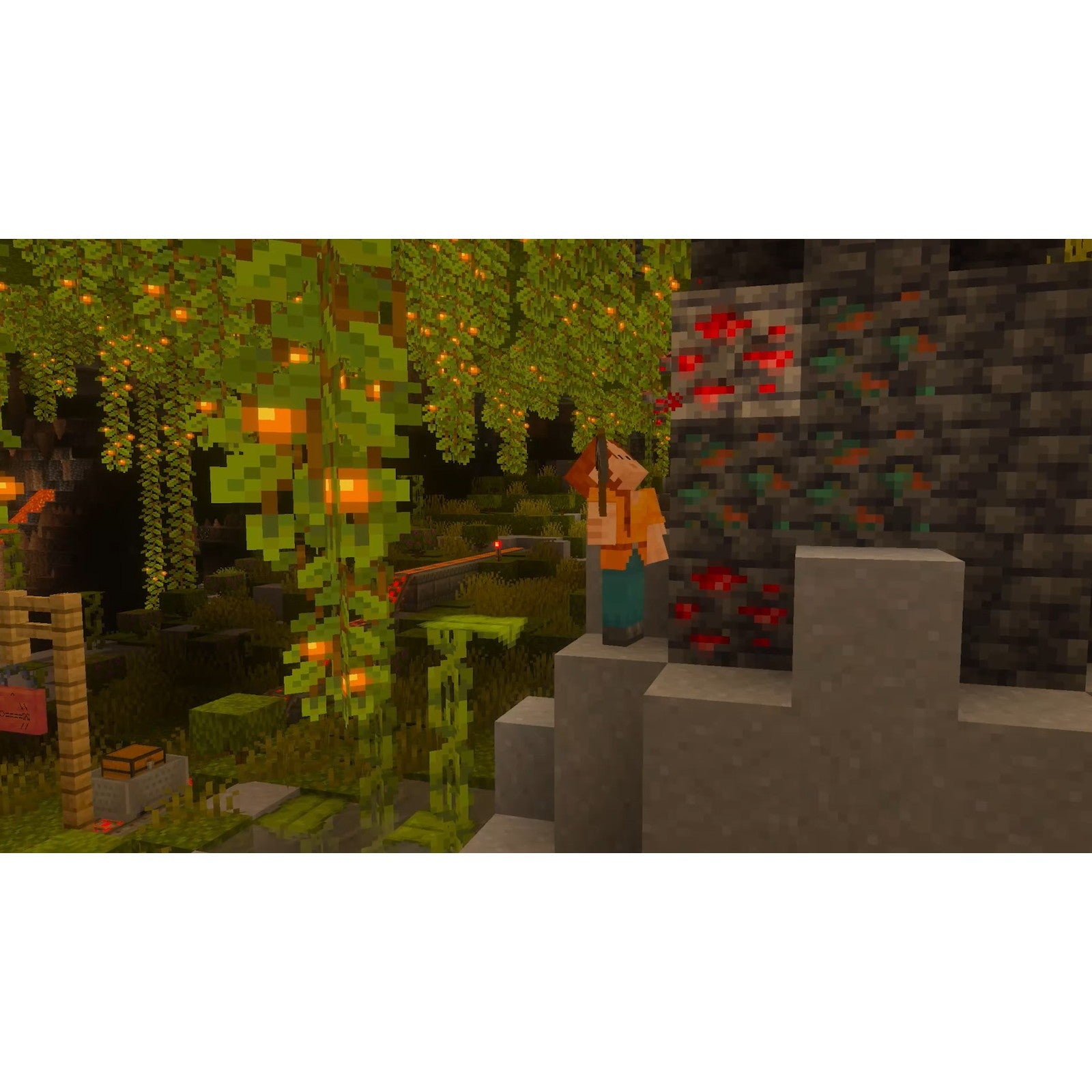 【予約前日出荷】[Switch2] Minecraft(マインクラフト) 日本マイクロソフト(20261028)