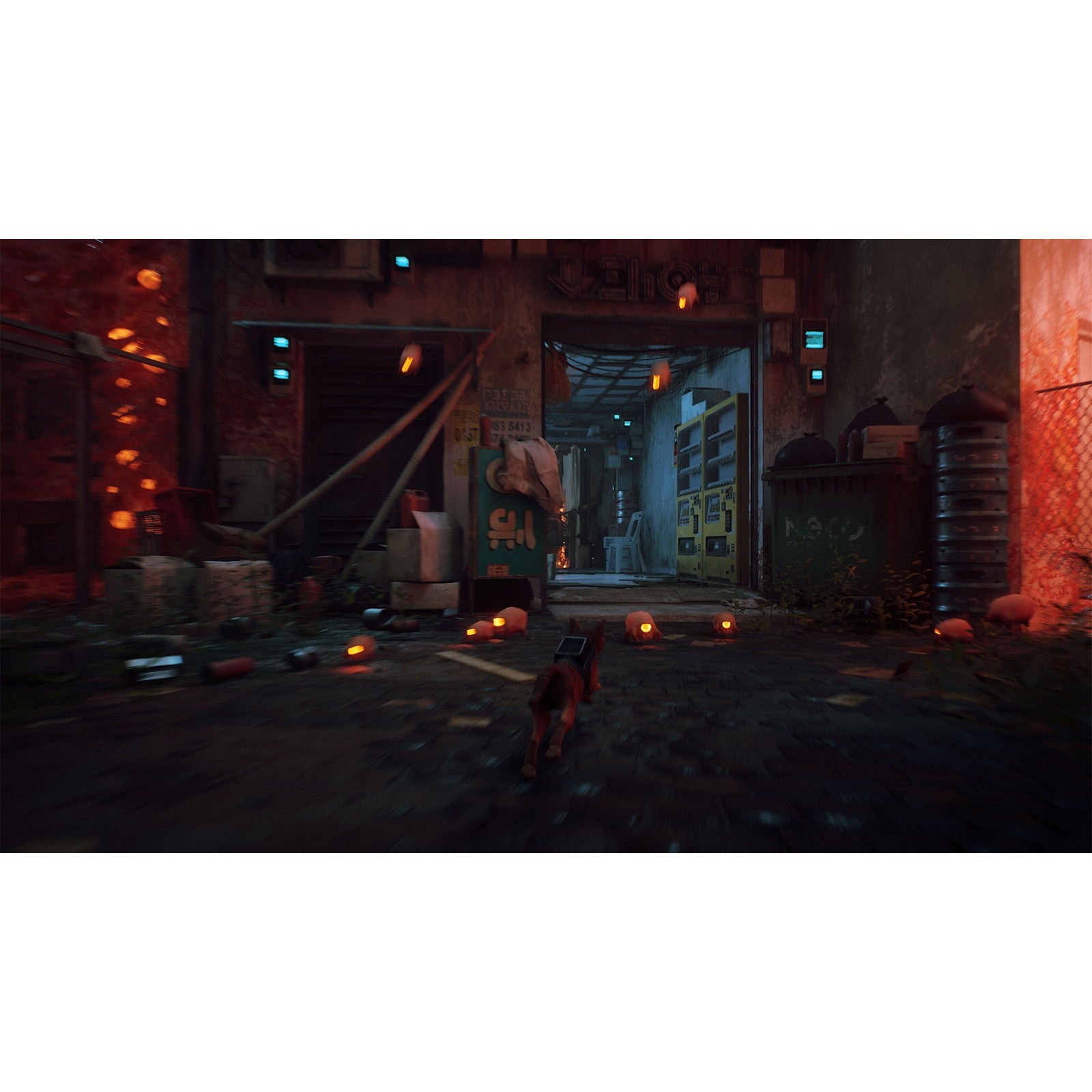 【予約前日出荷】[Switch2] Stray(ストレイ) ハピネット(20261112)