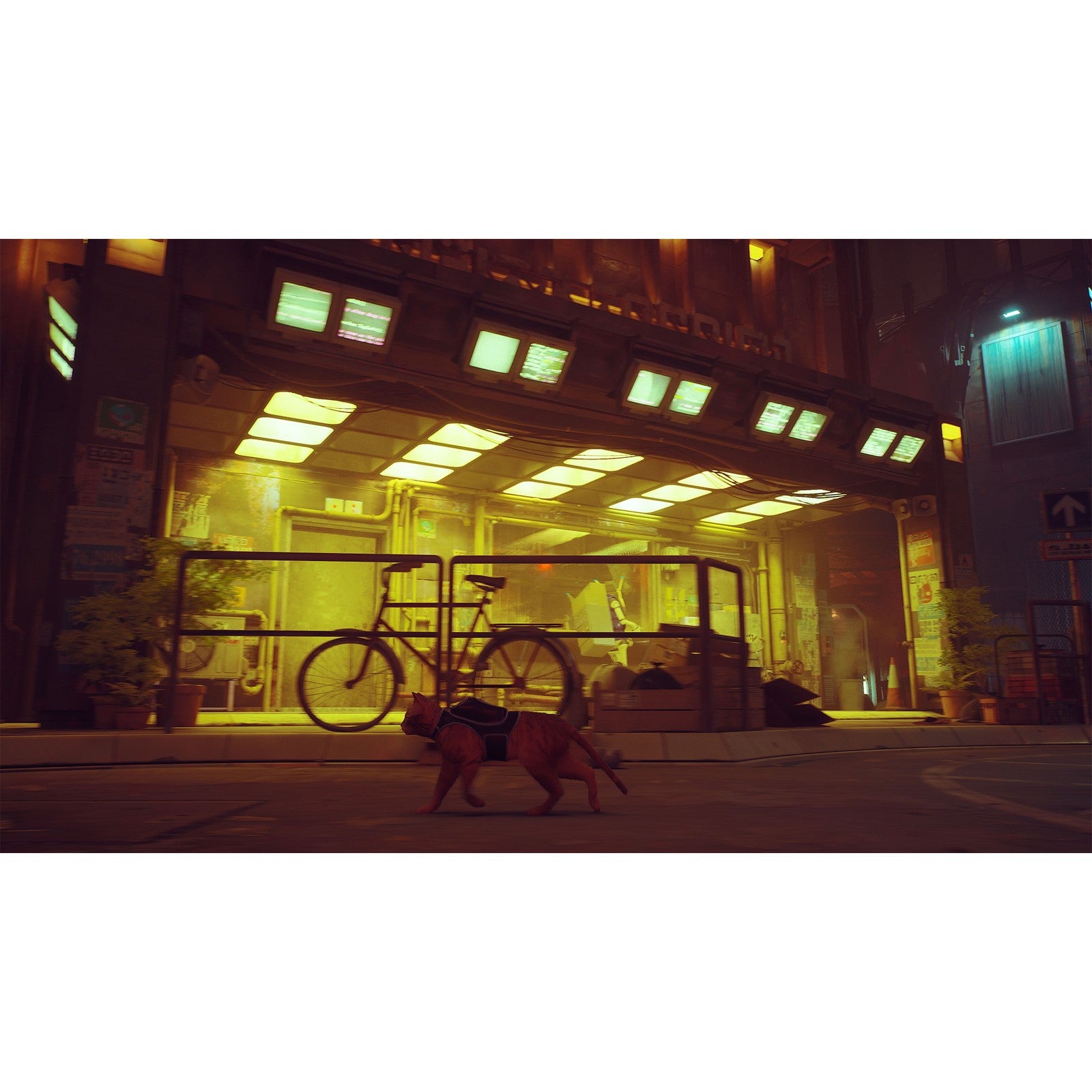 【予約前日出荷】[Switch2] Stray(ストレイ) ハピネット(20261112)